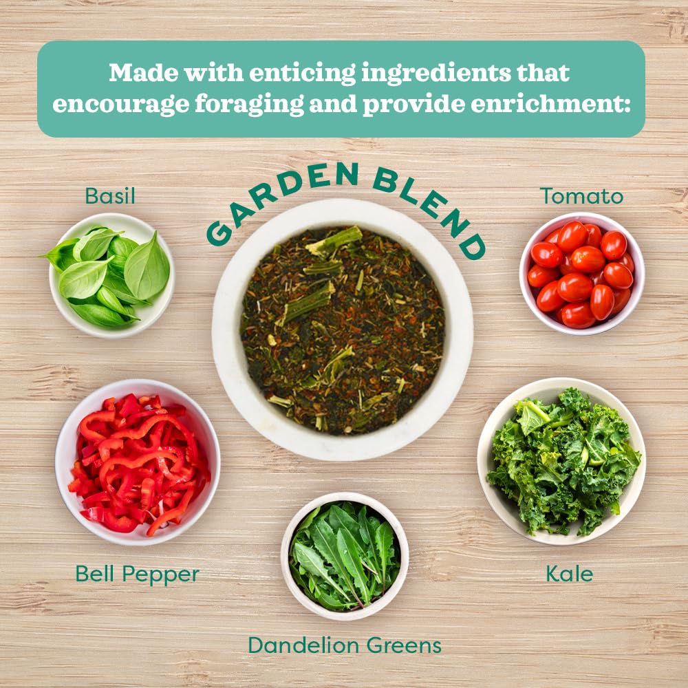 Oxbow Hay Toppers Garden Blend, Bunny Treats, Foraging Enrichment for Rabbits, Chinchillas, Guinea Pigs, and Other Small Herbivo