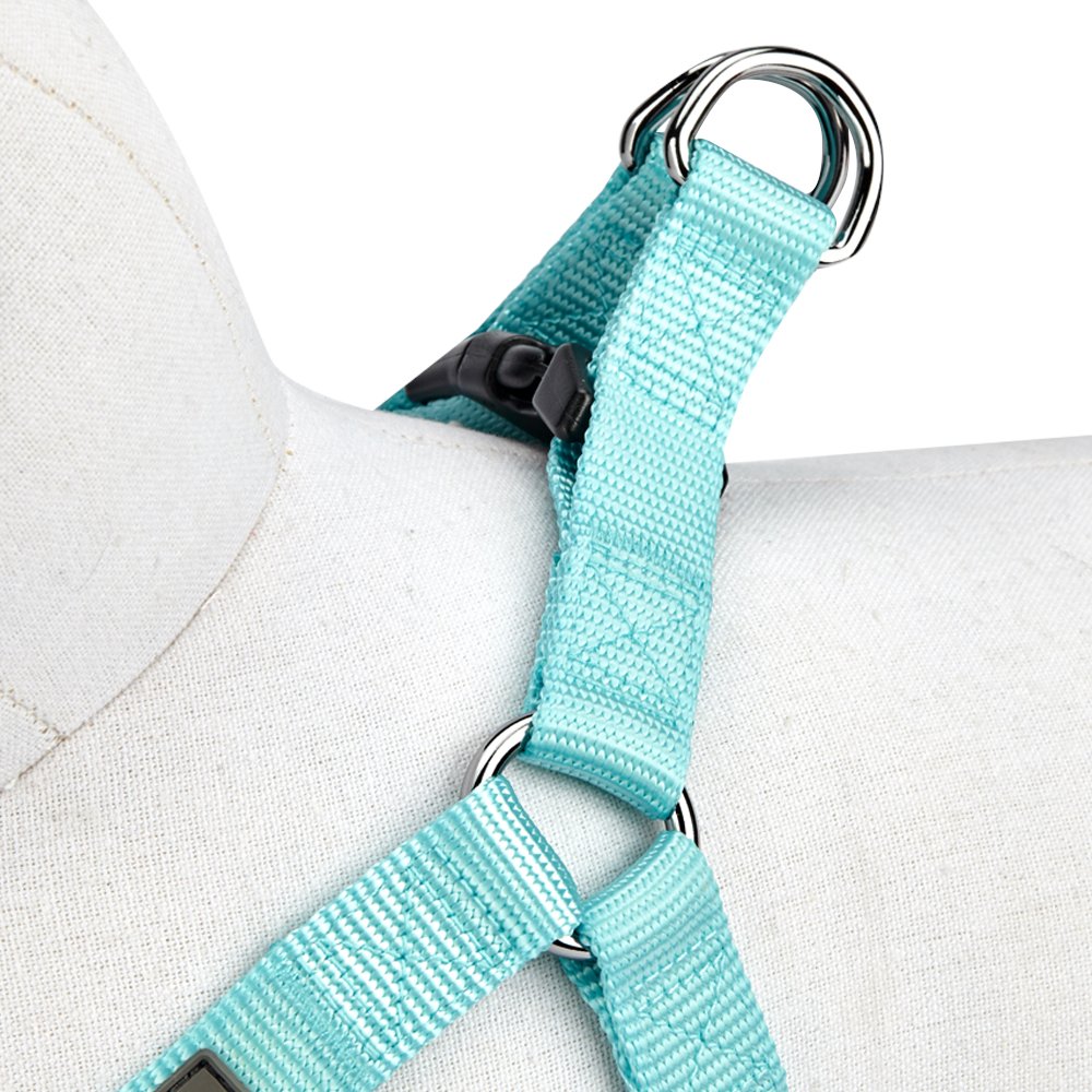 Blueberry Pet Essentials Classic Durable Solid Nylon Step-In Dog Harness, Chest Girth 26' - 39', Mint Blue, Large, Adjustable Harnesses For Puppy Boy Girl Dogs