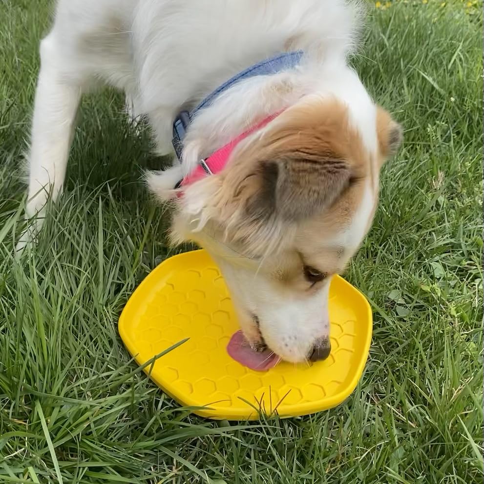 Project Hive Pet Company - Hive Frisbee For Dogs - Dog Disc - Great For Fetch - Includes A Lick Mat On Back - Floats In Water, S