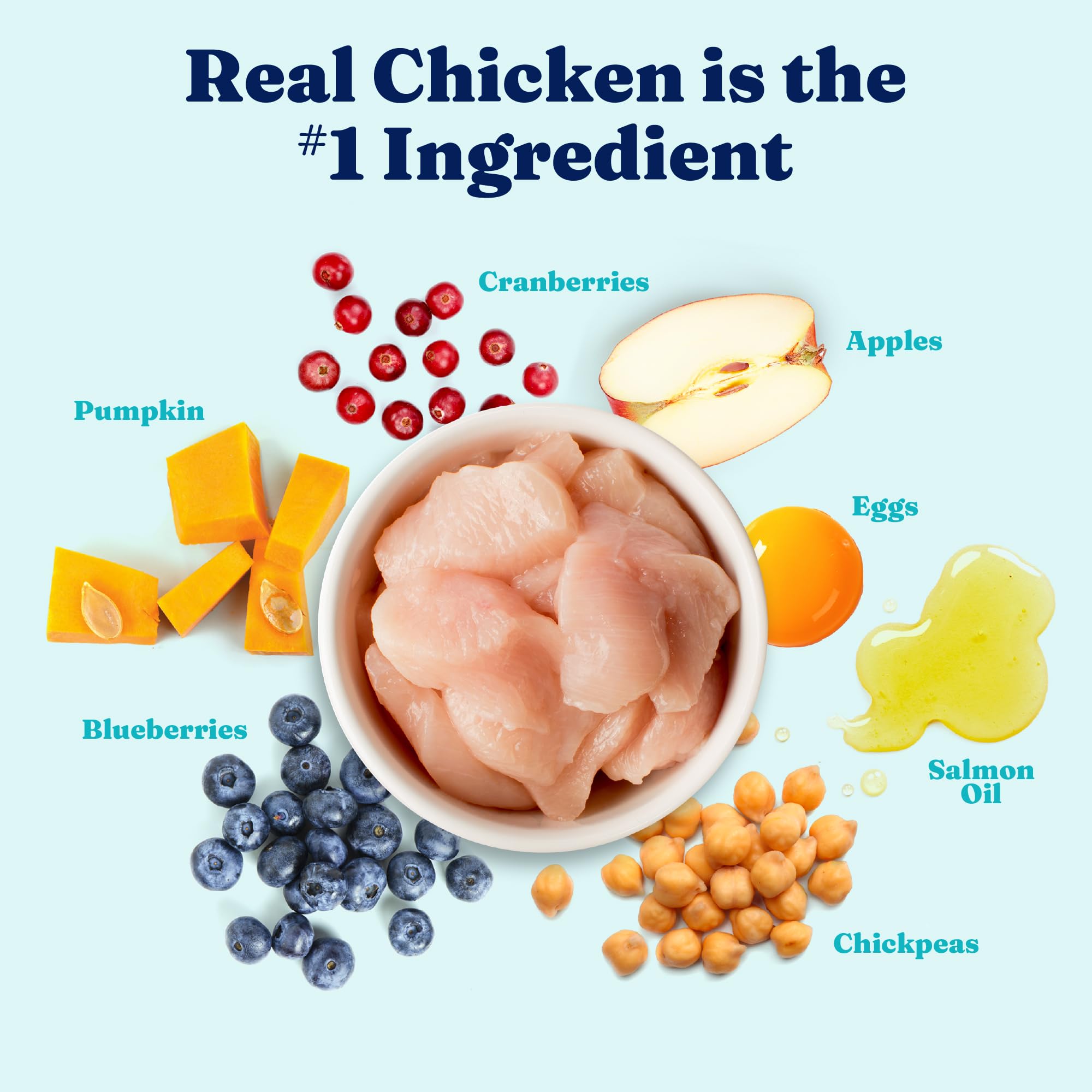 Solid Gold Chicken Dry Puppy Food - W/Real Chicken & Potato - Grain Free & Gluten Free Puppy Dog Food w/Probiotics for Gut Healt