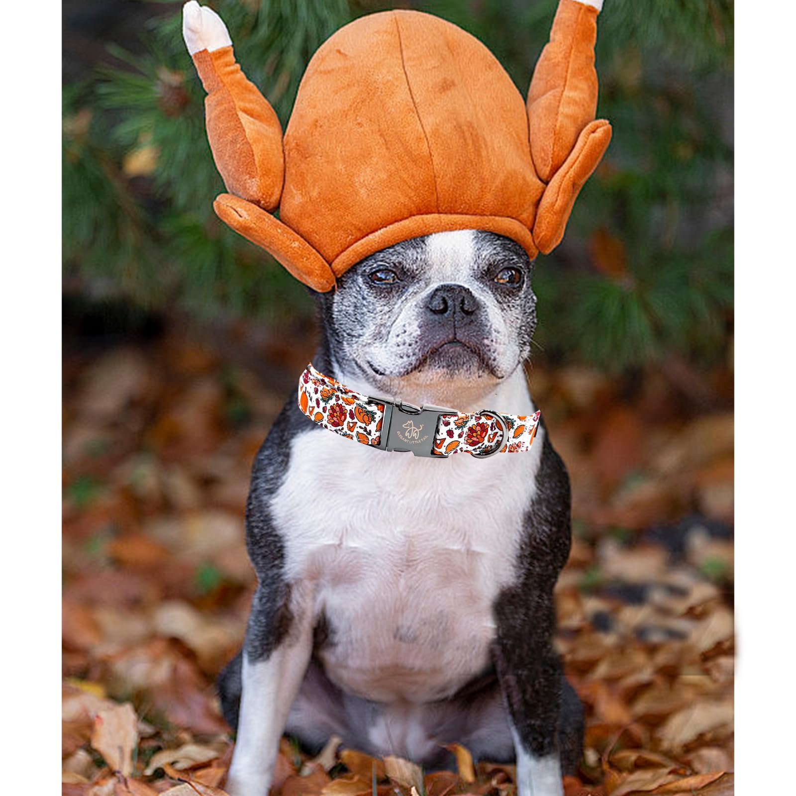 Elegant Little Tail Thanksgiving Turkey Pumpkin Pet Collar - Cotton With Metal Buckle, Adjustable For X-Large Dogs
