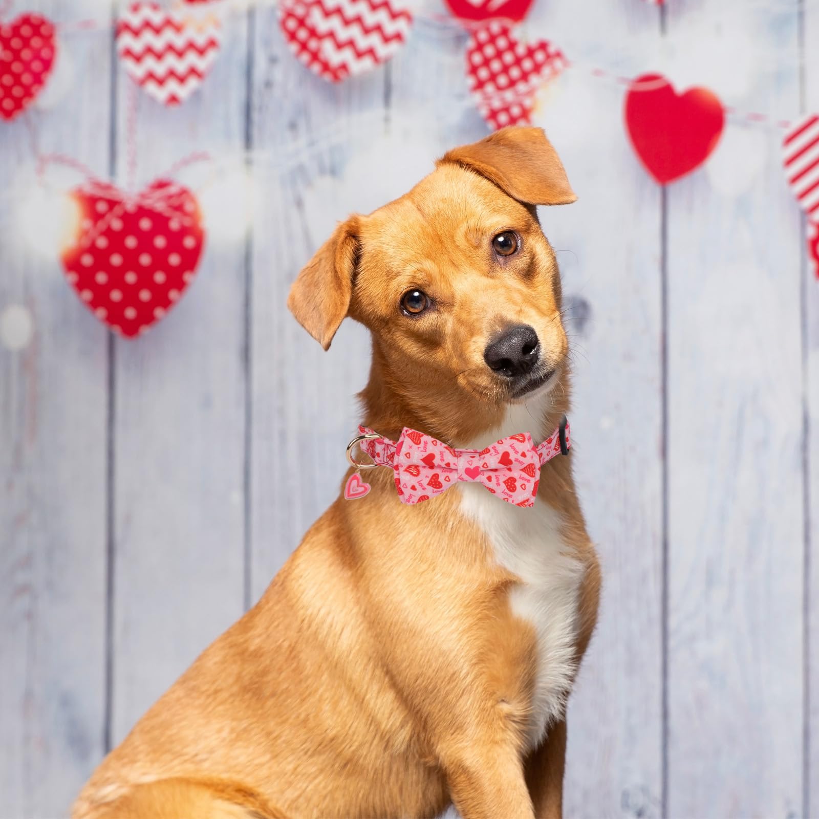 Ptdecor Valentine Dog Collar With Bowtie Adjustable Pink Love Heart Pet Collars Valentine Collars For Medium Dogs Pets (Medium)