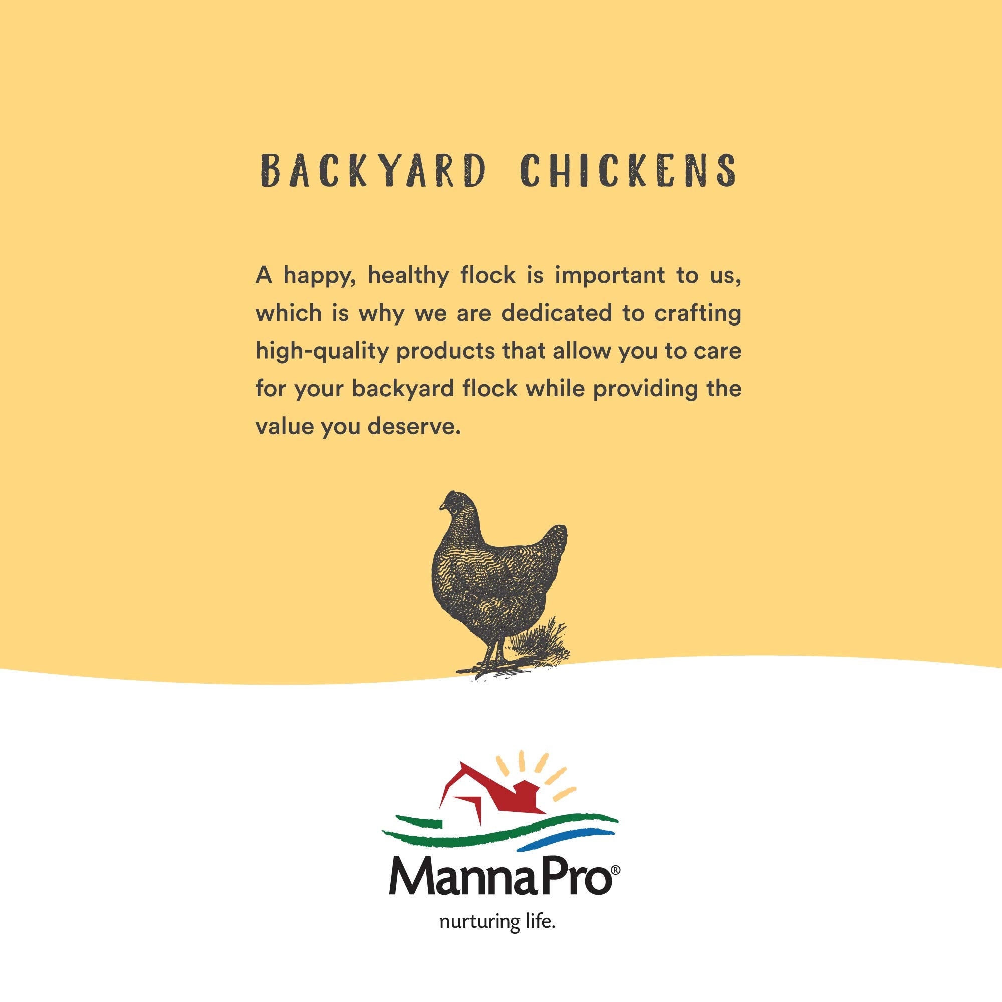 Manna Pro Crushed Oyster Shell for Laying Hens - Laying Chicken Oyster Shell - 6-Pack of 5lbs