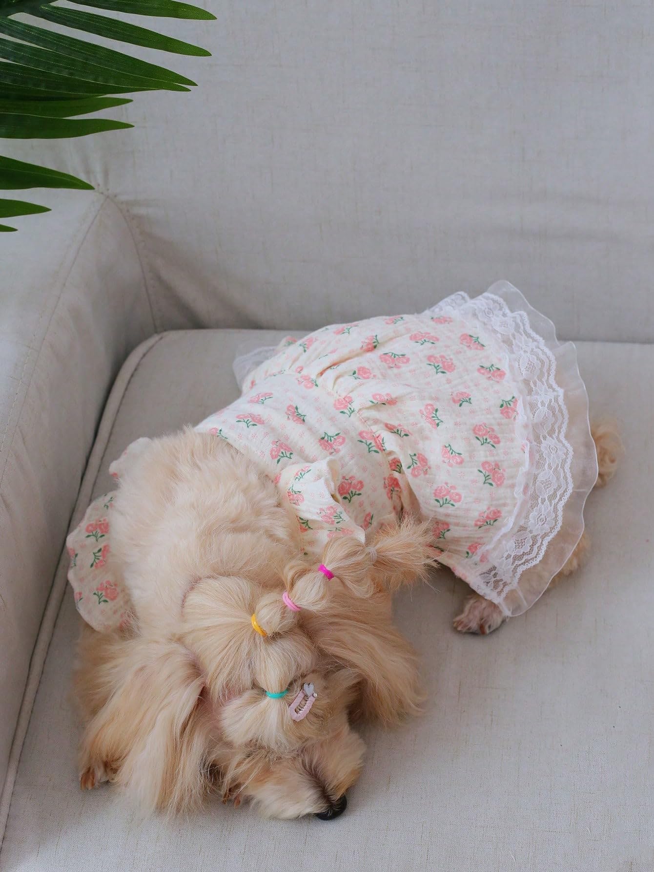 Qwinee Pink A Floral Dress (X-Large) For Small Medium Cats Dogs, Soft Fabric, Lightweight, Breathable, Ruffle Trim, Lace, Prince
