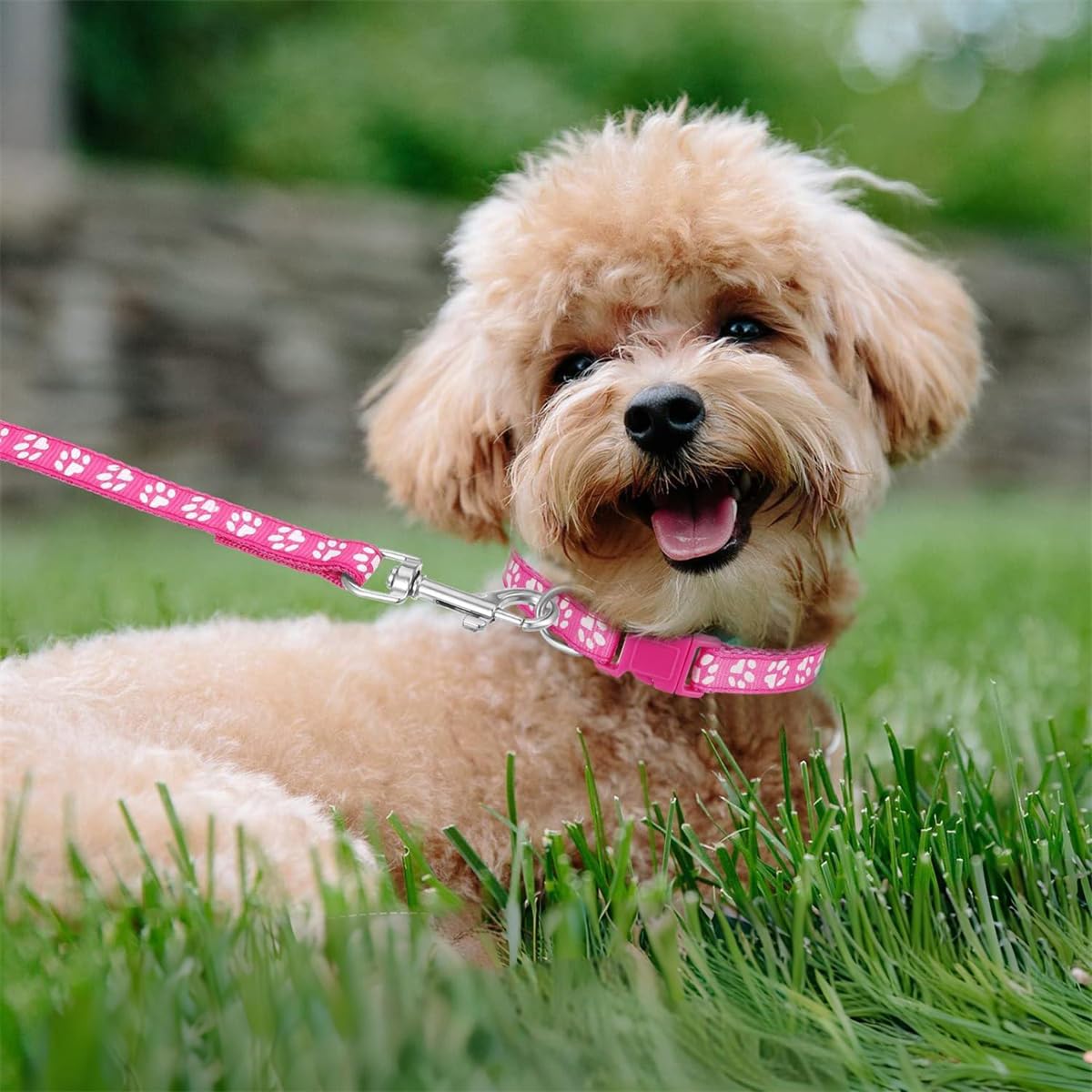 Small Dog Collar And Leash Set With Bell,Red Nylon Paw Cat Collar Girl Female Cute Fancy Puppy Collar With Bells For Xxs Xs Tiny