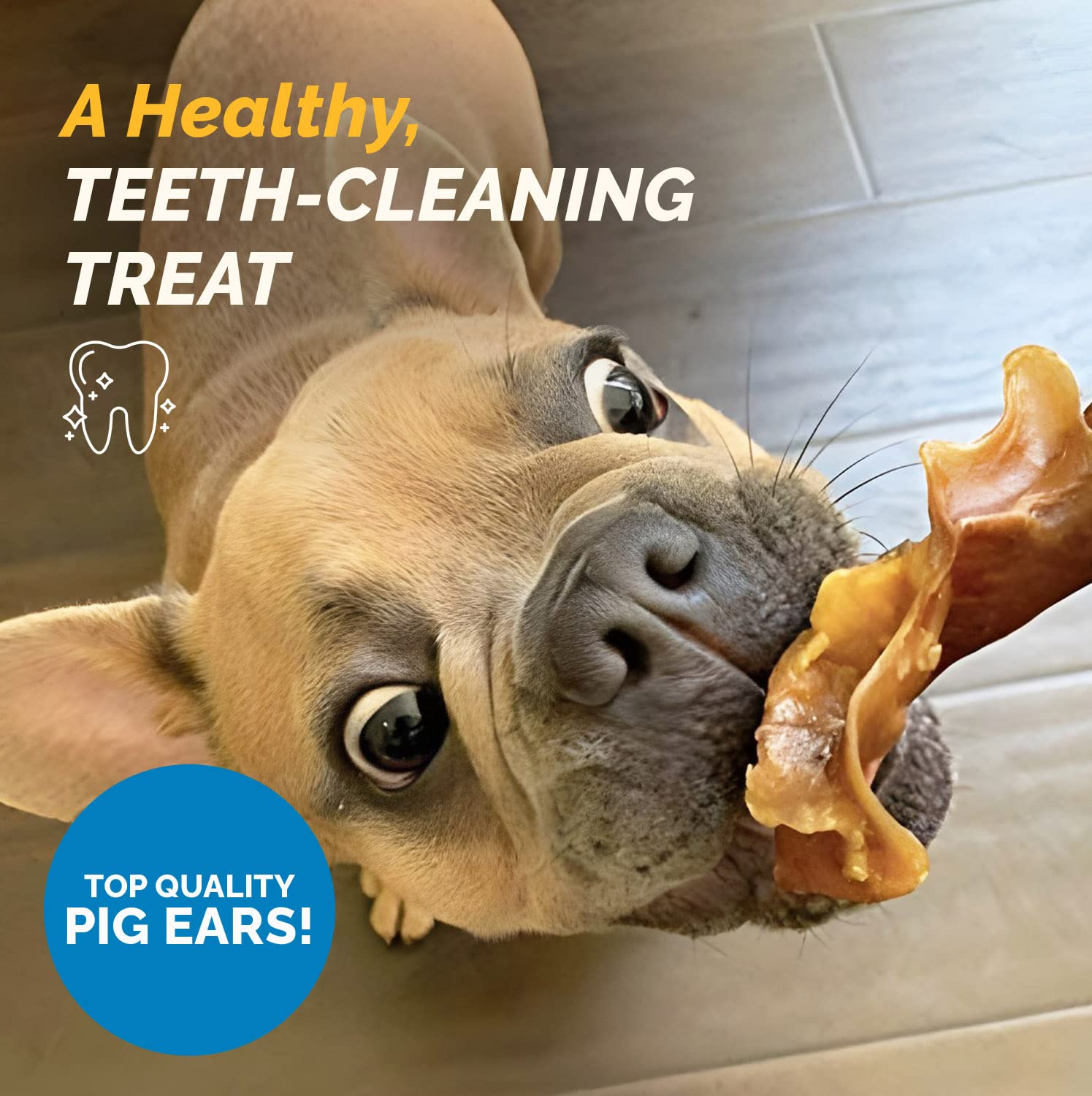 123 Treats Pig Ears Strips for Dogs - (16 Ounce) 100% Natural, Long Lasting & Highly Digestible Chew Treats, Single Ingredient,