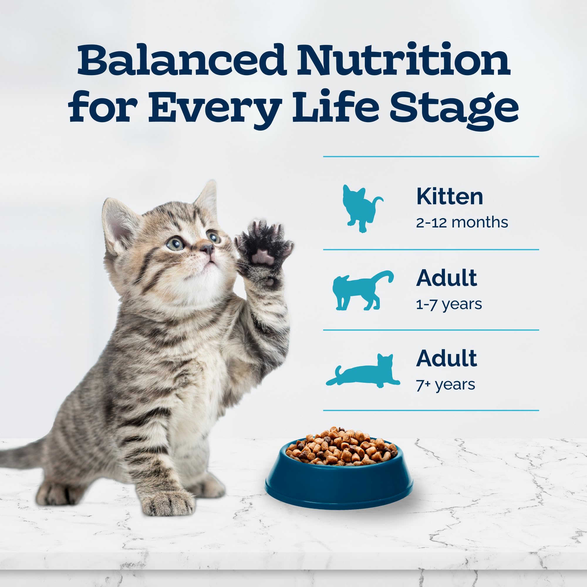 Blue Buffalo Tastefuls Kitten Food With DHA Dry Cat Food Made in the USA with Natural Ingredients, Chicken Recipe, 3-lb. Bag