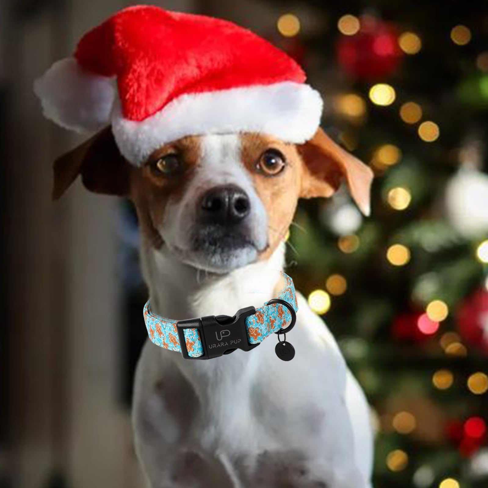 Up Urara Pup Christmas Dog Collar,Adjustable Gingerbread Pet Collar,Chriatmas Puppy Collar For Small Medium Large Dogs,Xl