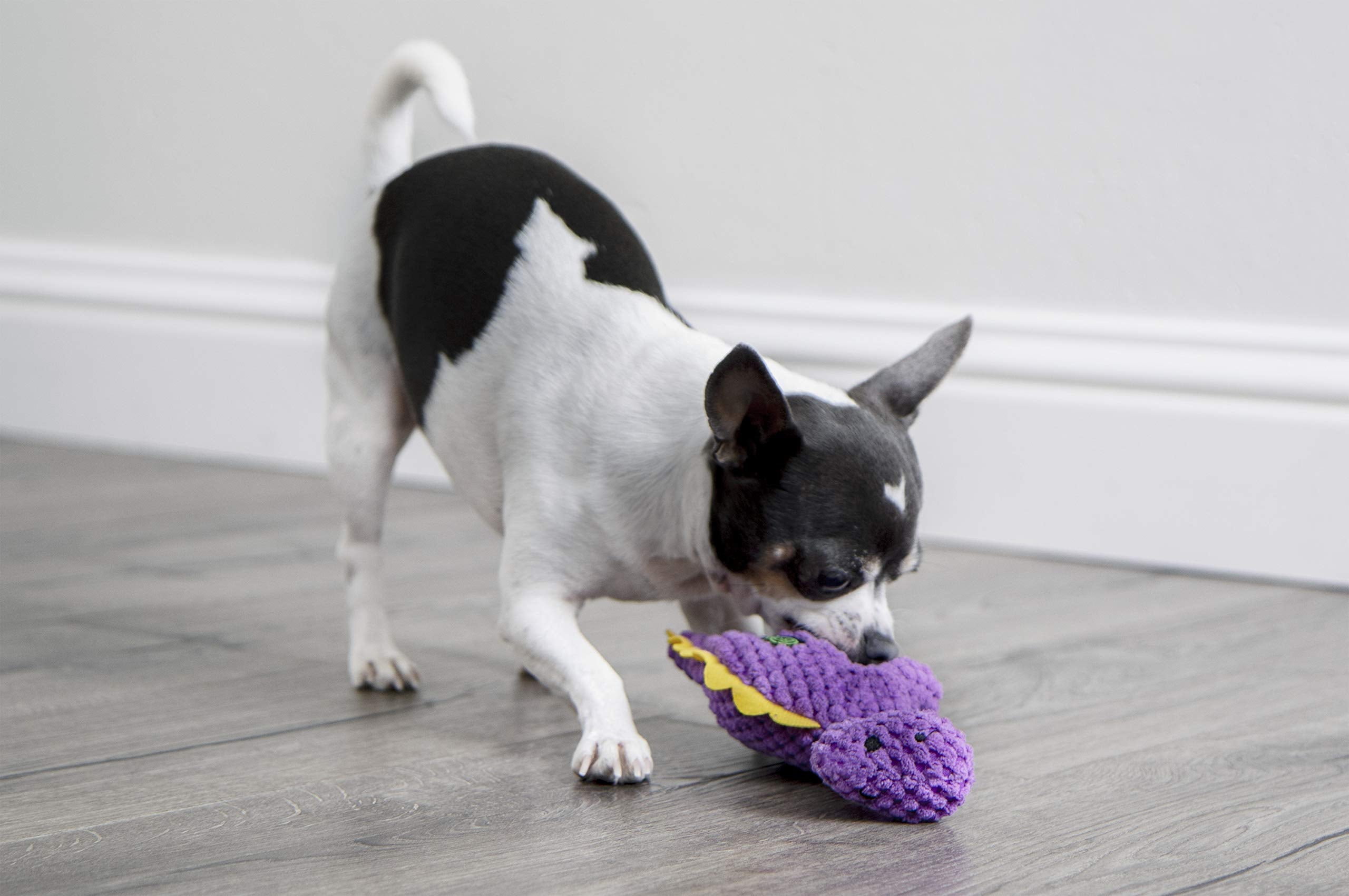 Godog Checkers Just For Me Dinos Bruto Squeaky Plush Dog Toy, Chew Guard Technology - Purple, Mini