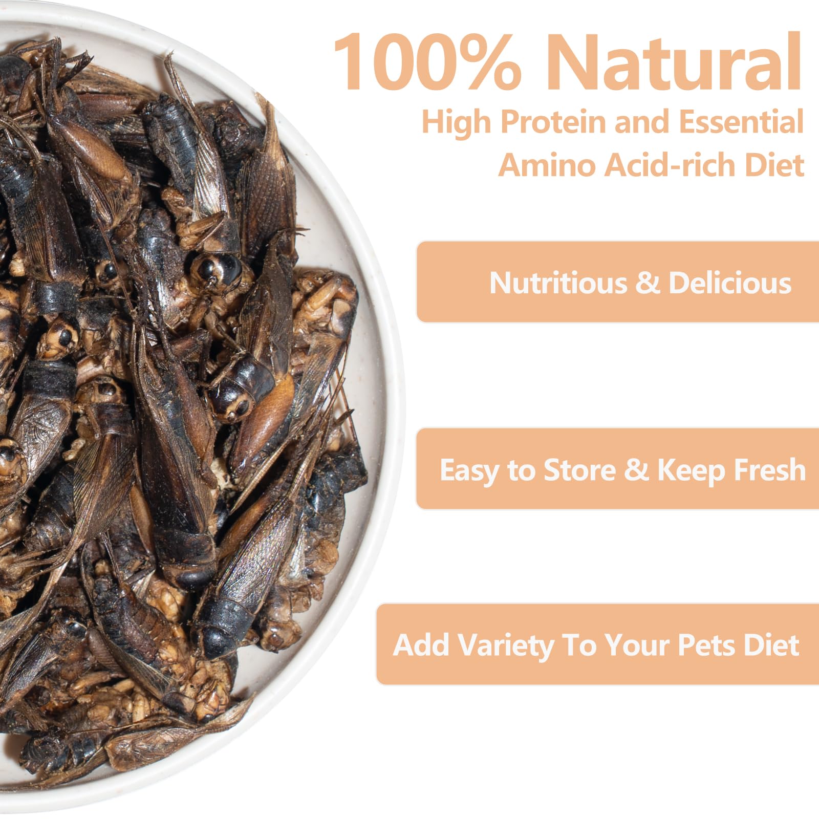 JADINGSFARM Freeze Dried Crickets - 4.5 Oz High Protein Freeze Dried Crickets, Food for Reptiles, Bearded Dragons, Lizards, Geck