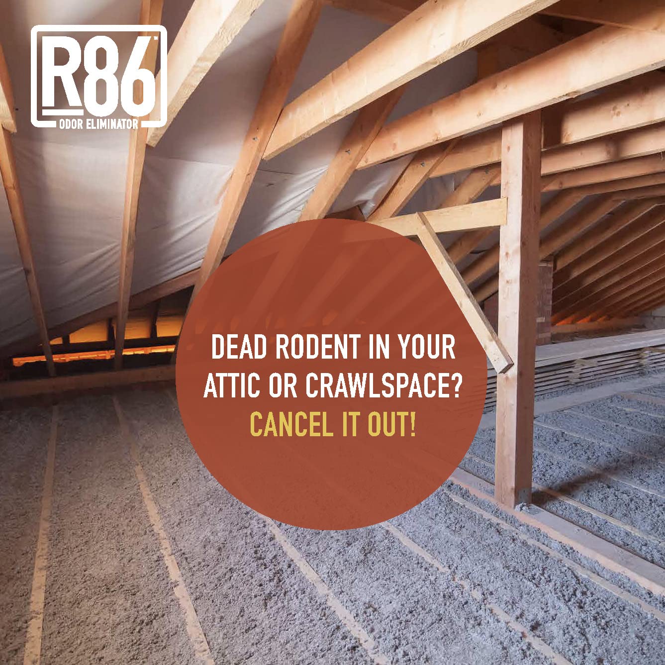 R86 Industrial All-Out Odor Eliminator, Removes Dead Animal Odor, Skunk Odor, Urine, Poop, Musty Basement & More – Natural Formula, Use Wet Or Dry, Biodegradable