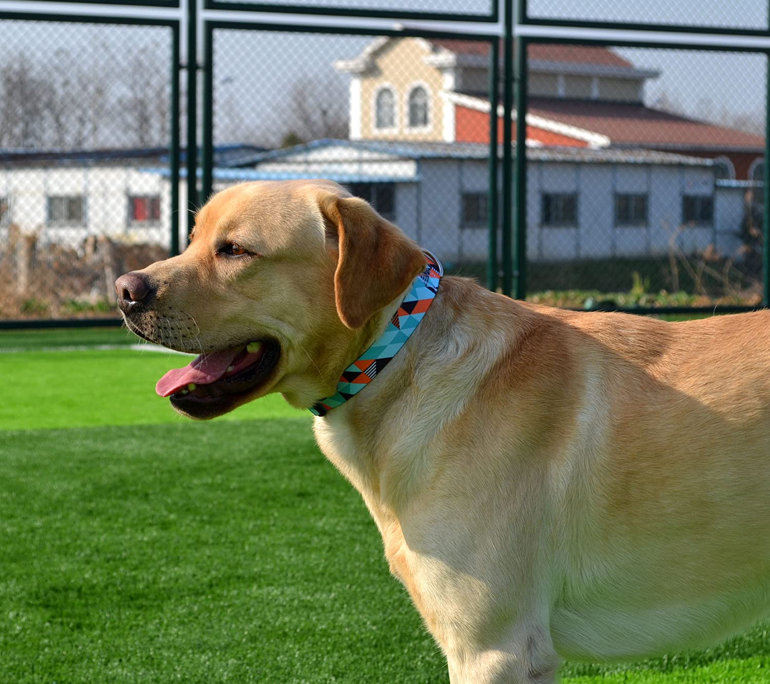 Mihqy Dog Collar With Bohemia Floral Tribal Geometric Patterns - Soft Ethnic Style Collar Adjustable For Small Medium Large Dogs (Geometry,Xs)