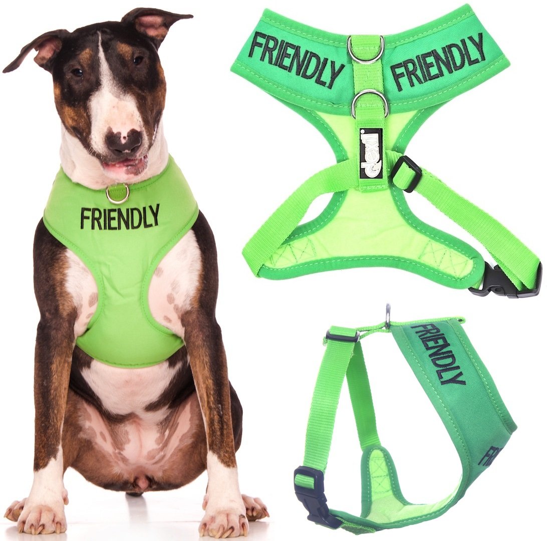 Friendly (Known As Friendly To All) Green Color Coded Non-Pull Front And Back D Ring Padded And Waterproof Vest Dog Harness Prevents Accidents By Warning Others Of Your Dog In Advance (L)