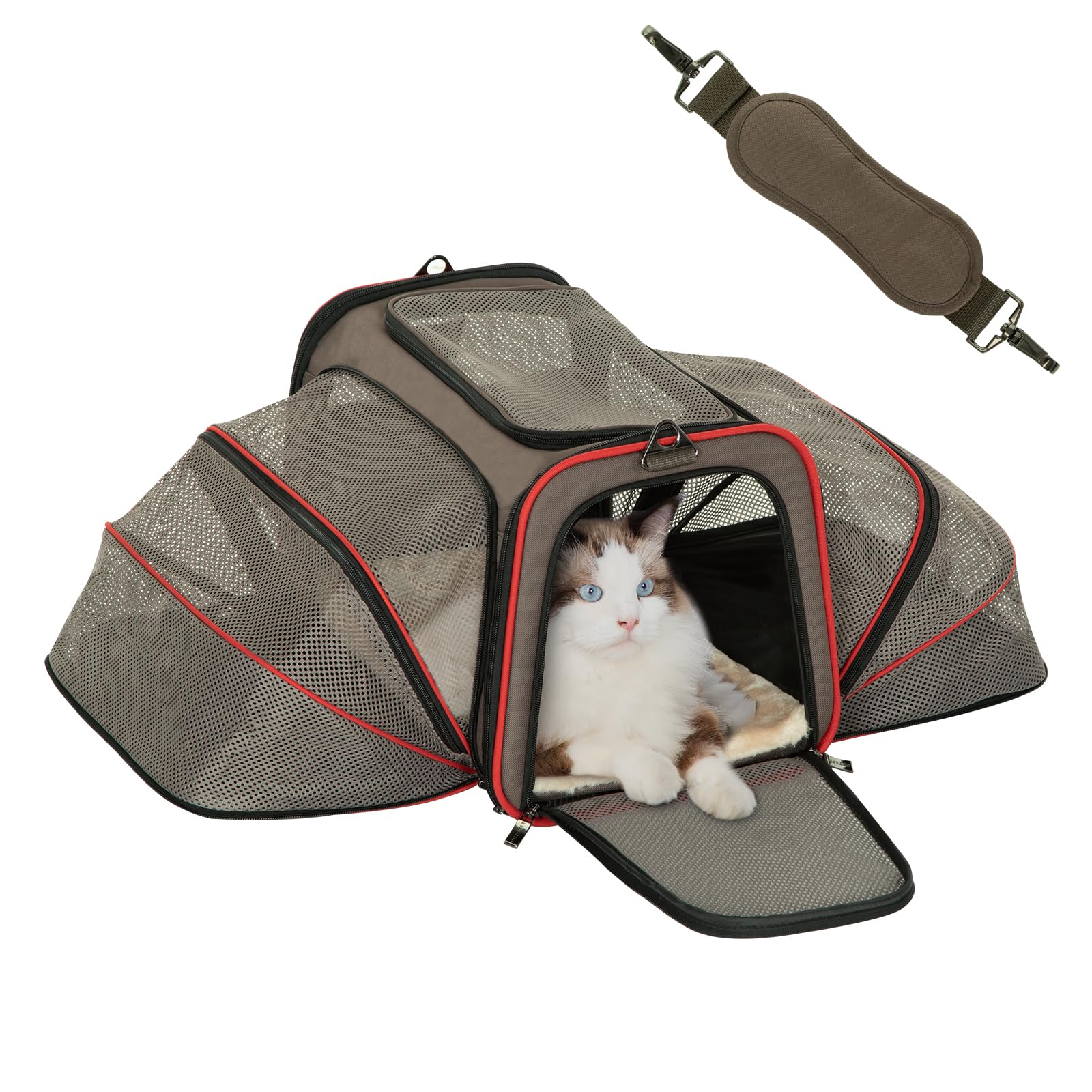 Petsfit Expandable Cat Dog Carrier For 2 Cats, 19'' Lx 12'' Wx 12'' H Soft-Sided Portable Pet Carrier For Travel, Dog Carrier Fo