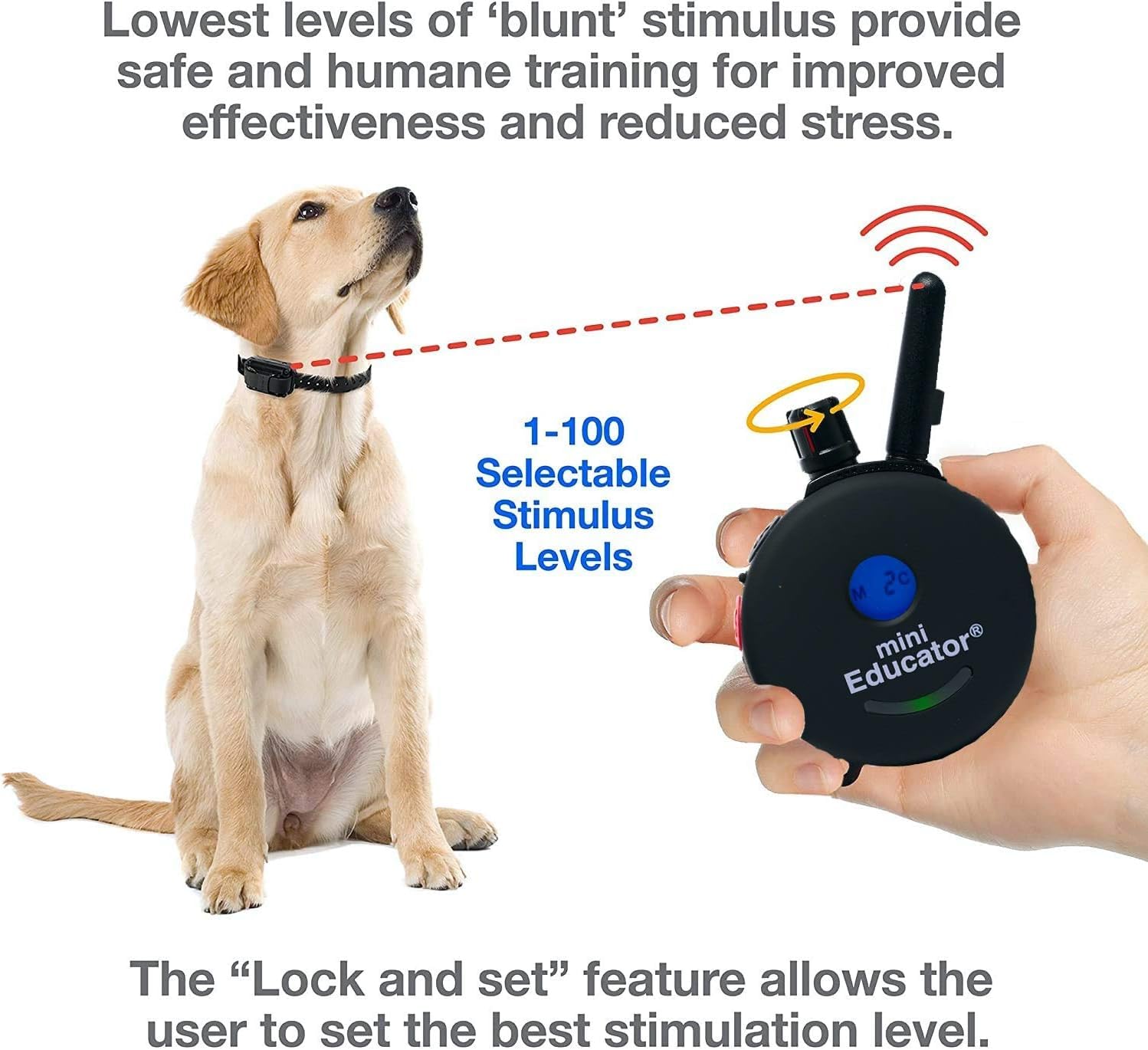 Mini Educator ET-300 Dog Training Collar - 1/2 Mile Range, Waterproof, Vibration, Black - Includes eOutletDeals Pet Towel