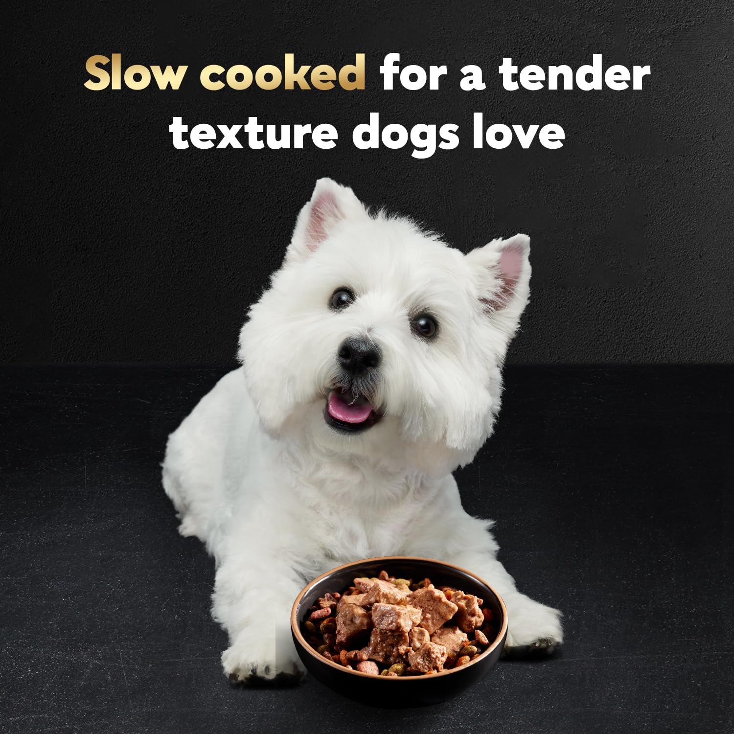 Cesar Wet Dog Food Steak Lovers Variety Pack with Real Meat, 3.5 oz. Trays (24 Count, Pack of 1)