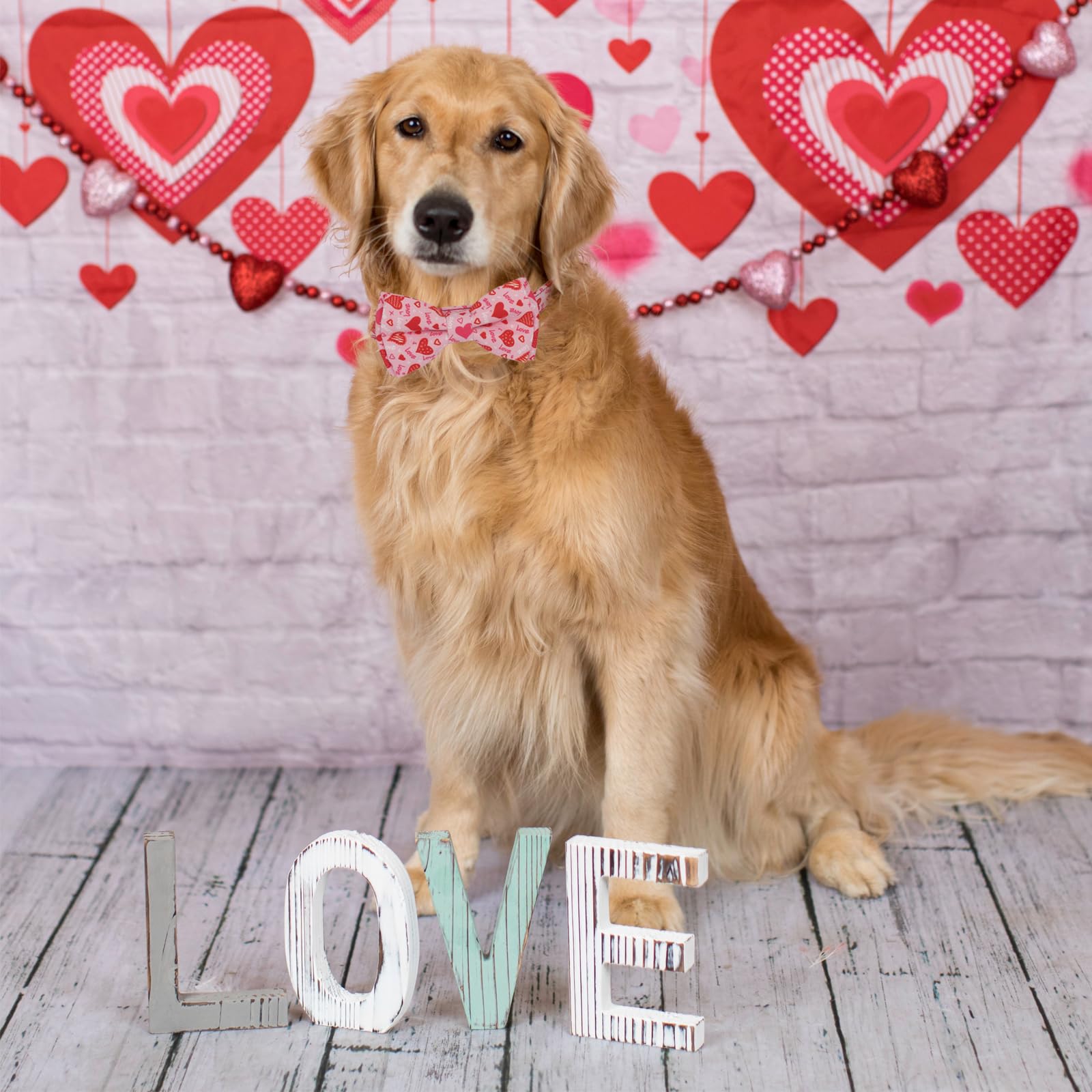 Ptdecor Valentine Dog Collar With Bowtie Adjustable Pink Love Heart Pet Collars Valentine Collars For Small Dogs Pets (Small)