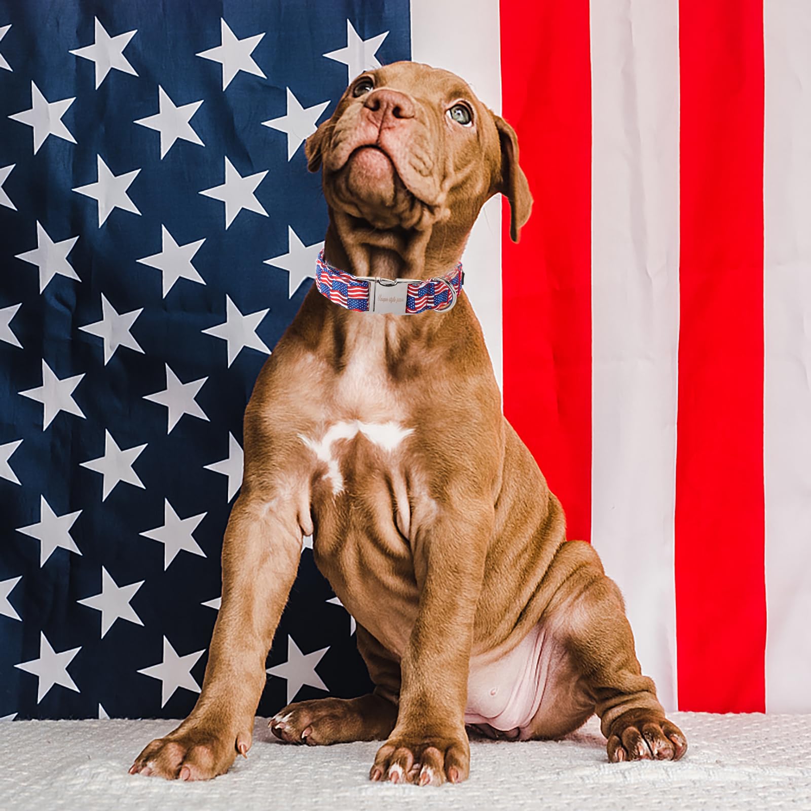 Unique Style Paws Independence Day Dog Collar Metal Buckle Wave Flag Collar Gift Durable Cute Collar For Small Medium Large Boys