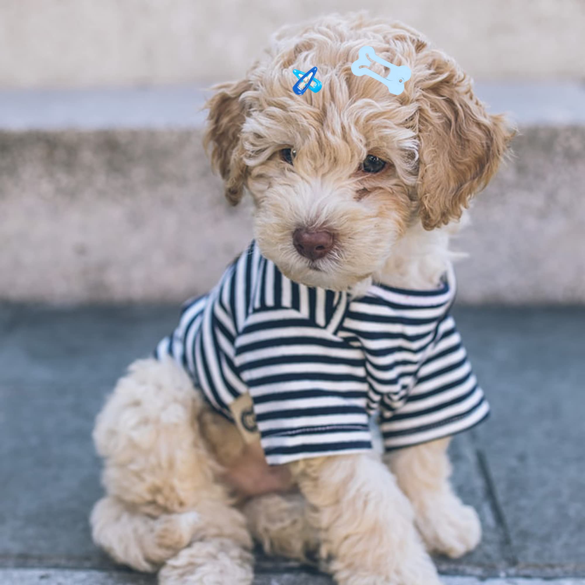 Yaodhaod 20 Pieces Dog Hair Clips Pet Hair Barrettes Dog Hair Accessories Clip Cute Multicolor Small Bone Small Waterdrop Snap Hairpin Headwear Pet Grooming Products For Dog Cat Puppy Pet