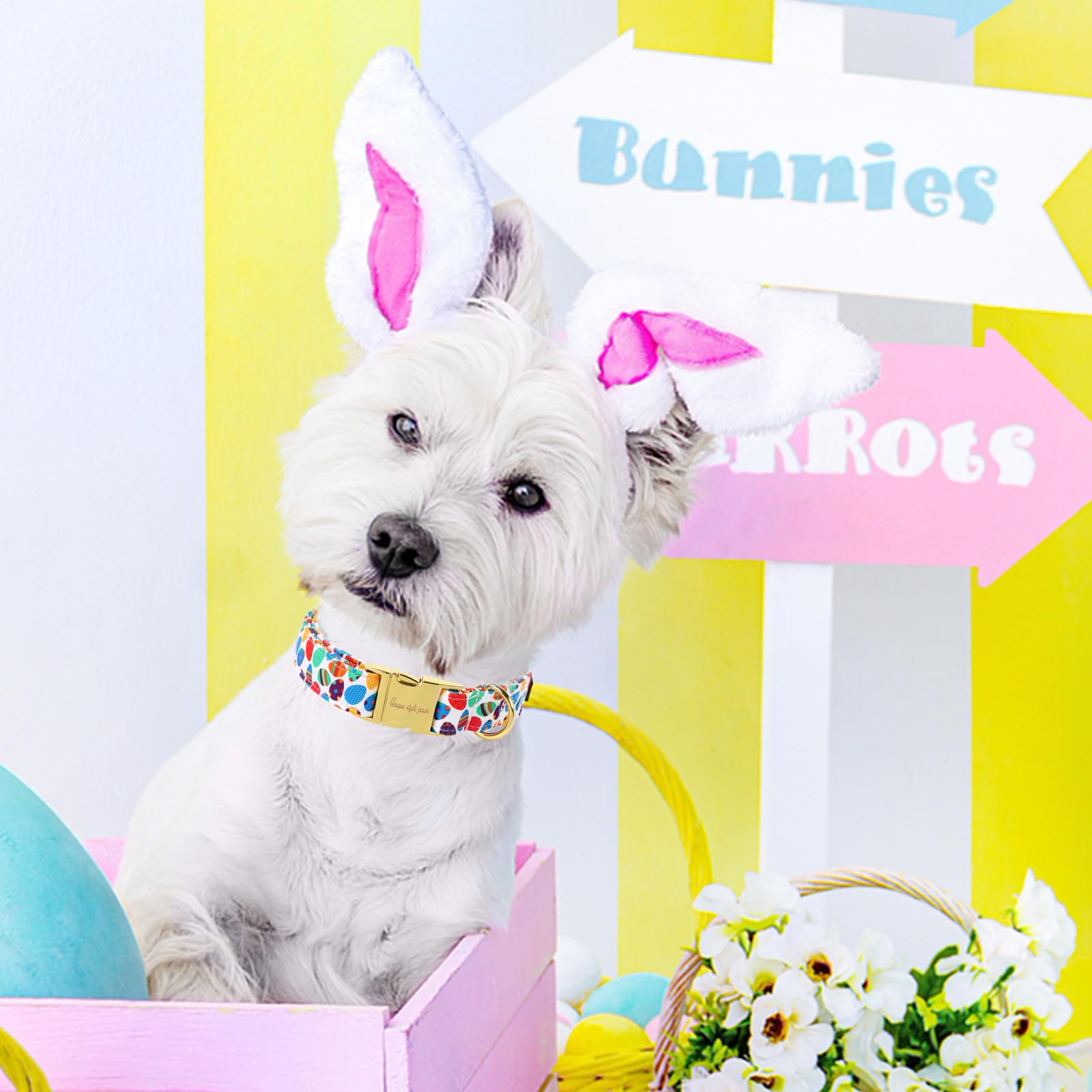 Unique Style Paws Easter Dog Collar Colorful Egg Rabbit Dog Collar Cotton Pet Collar For Large Medium Small Dogs