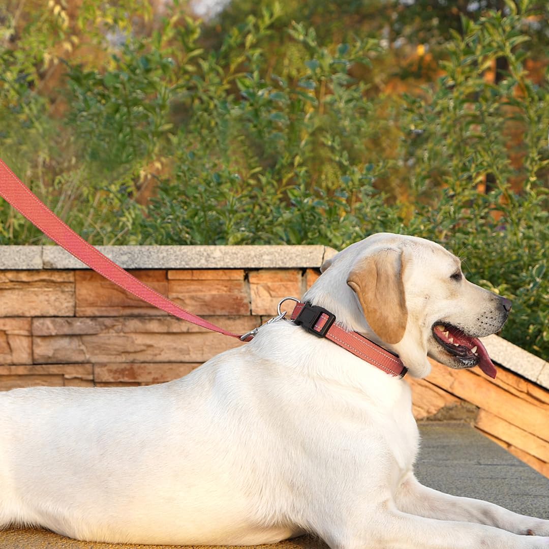 Penseepet Reflective Dog Leash 6 Ft Padded Handle Nylon Dogs Leashes For Large Dogs Coral