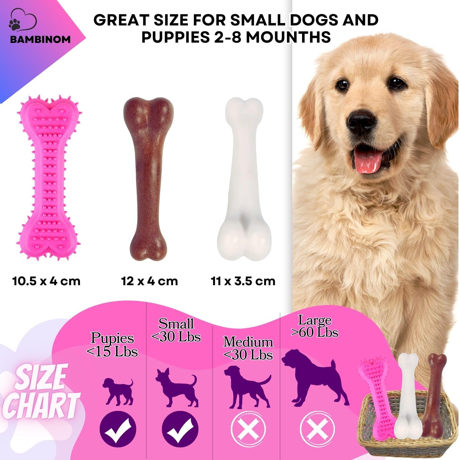 Bambinom Durable Dog Bone Chew Toy For Small Breeds, Squeaky, Puppy Chew Bone, Supports Dental Health & Teething Relief, 4.5   ,