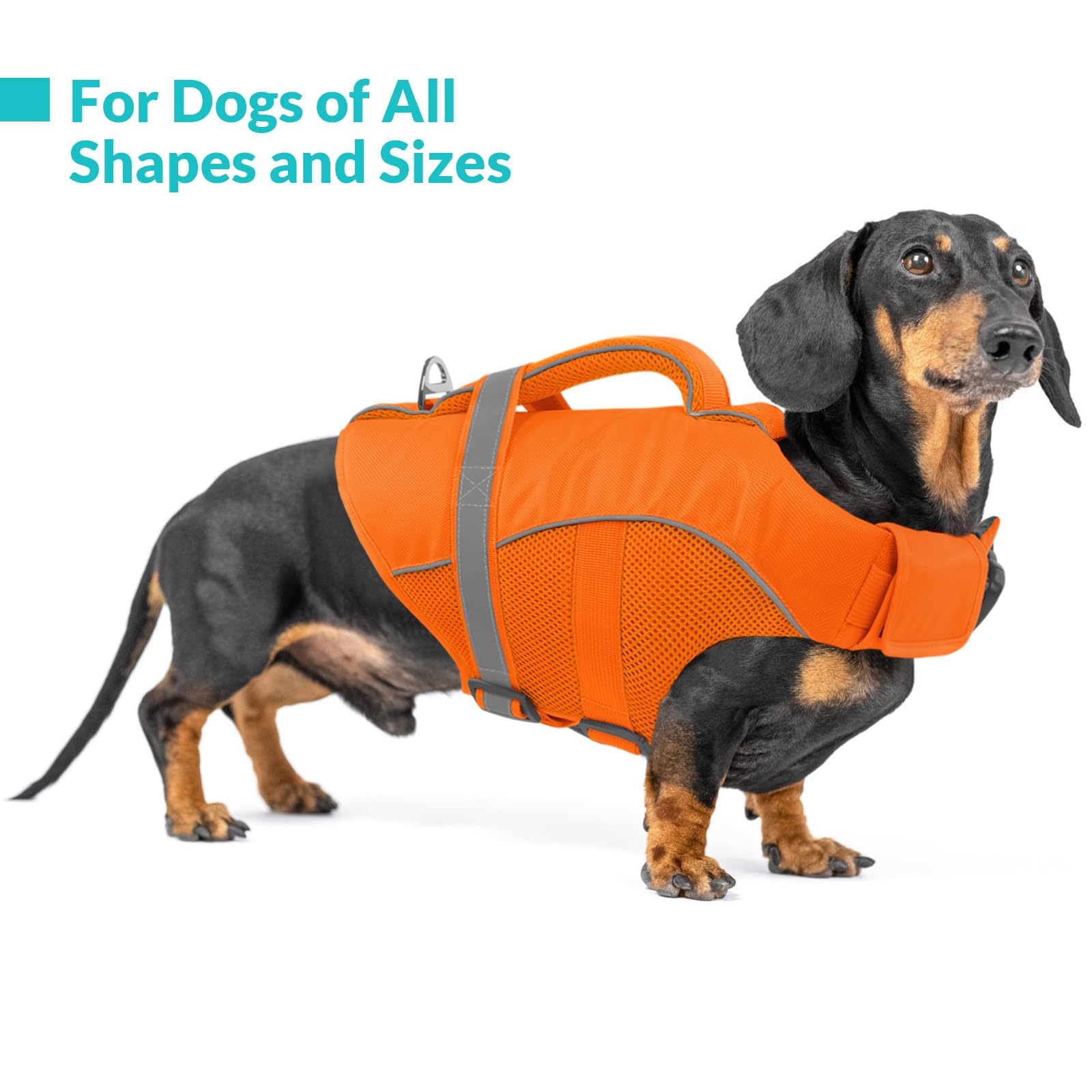 Queenmore Large Dog Life Jacket, Adjustable Ripstop Dog Life Vest For Swimming Boating, Dog Lifesaver With Superior Buoyancy And