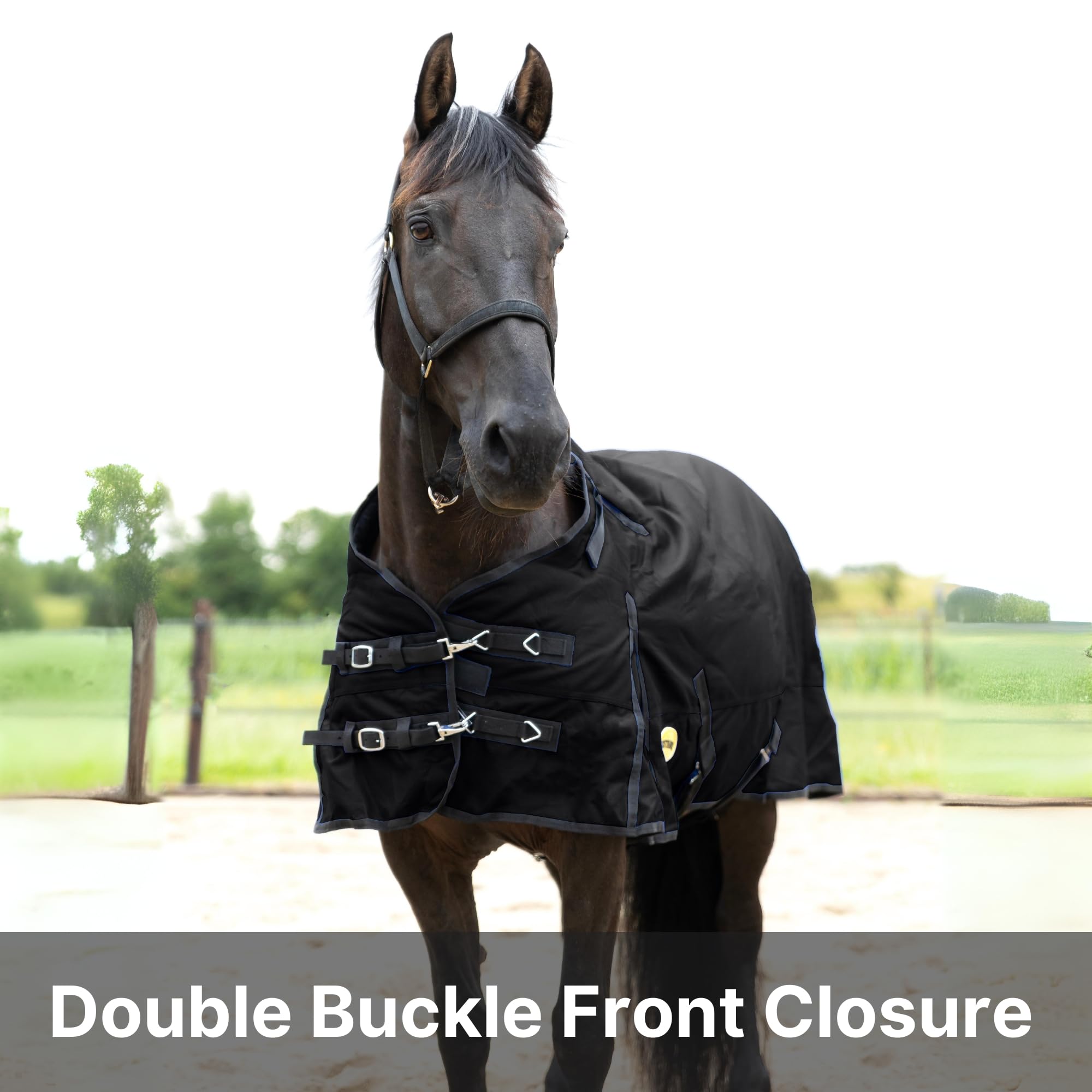 RESISTANCE Premium 1200 Denier Waterproof Horse Turnout Blanket with 300g Polyfill & Adjustable Buckle Closure
