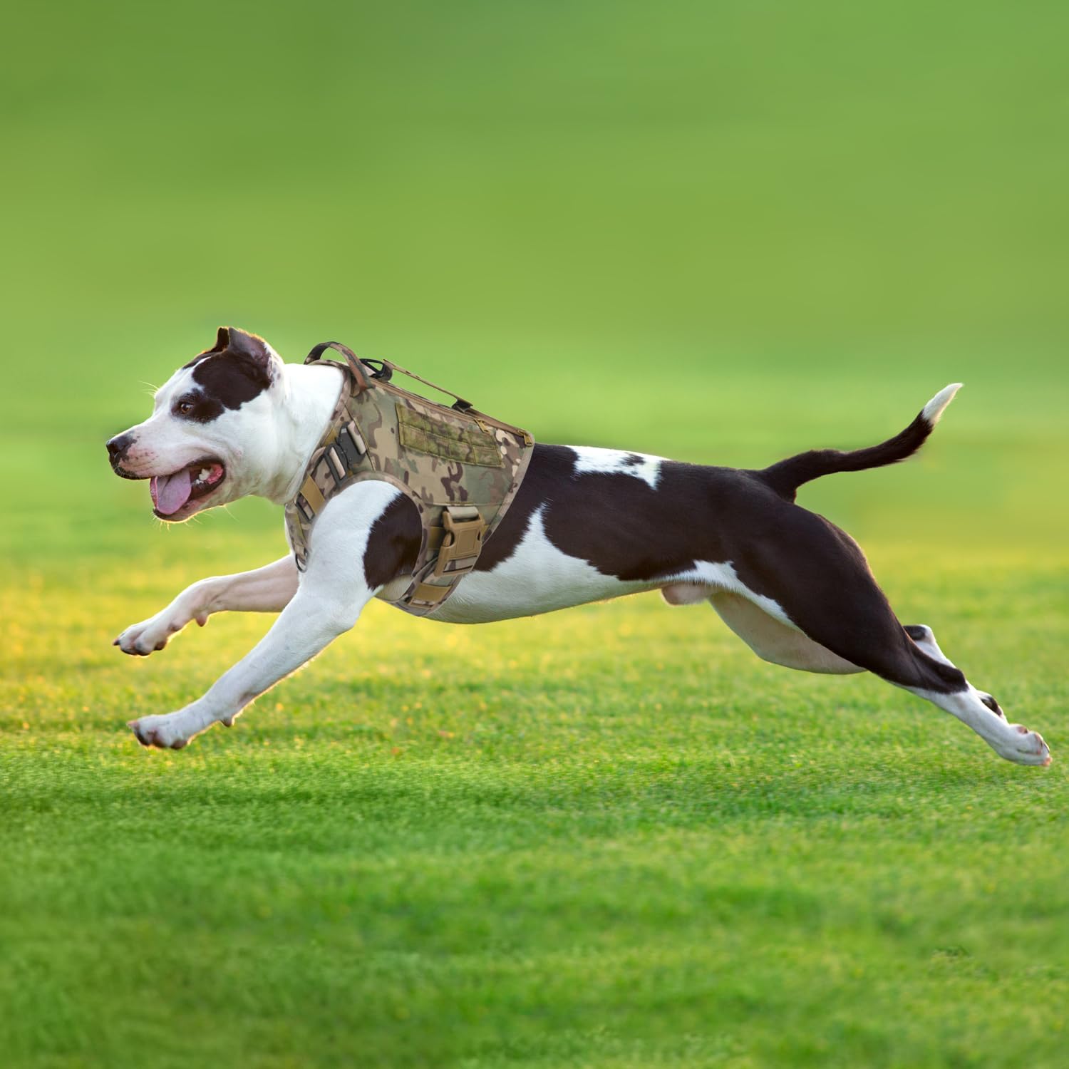 Tactical Dog Harness for Medium and Large Dogs No Pull Adjustable Dog Vest for Training Walking Military Dog Harness with Handle