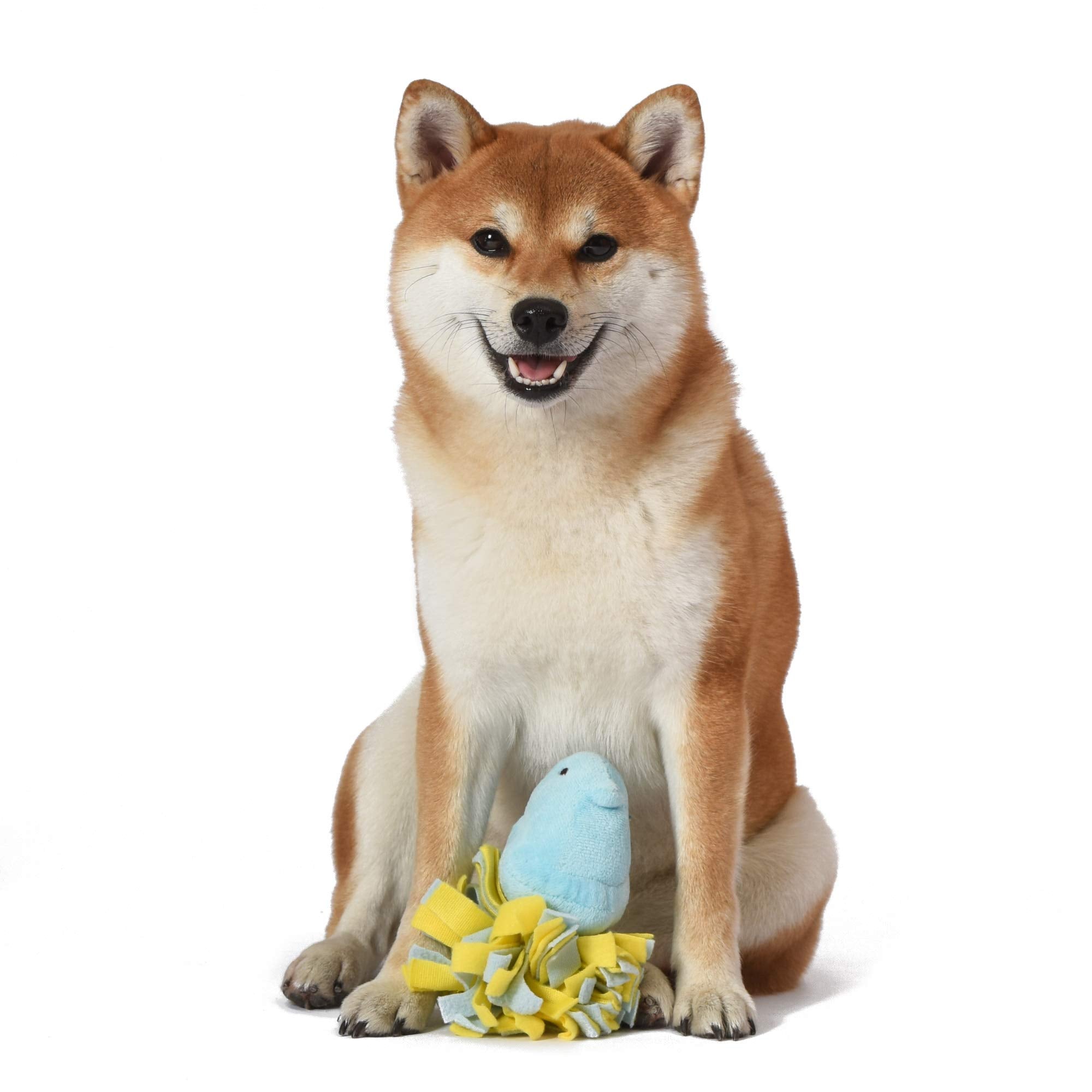 Peeps For Pets Plush Chick Fleece Bottom Dog Toy In Blue And Yellow Blue Peeps Chick Dog Toys, Small Plush Dog Toys With Squeake