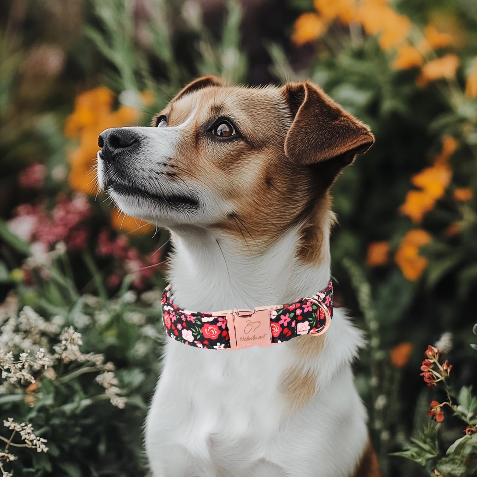 Babole Pet Vintage Dog Collar - Adjustable Black Floral Dog Collars For Medium Dogs Male Female Pet Soft Padded Metal Buckle Col