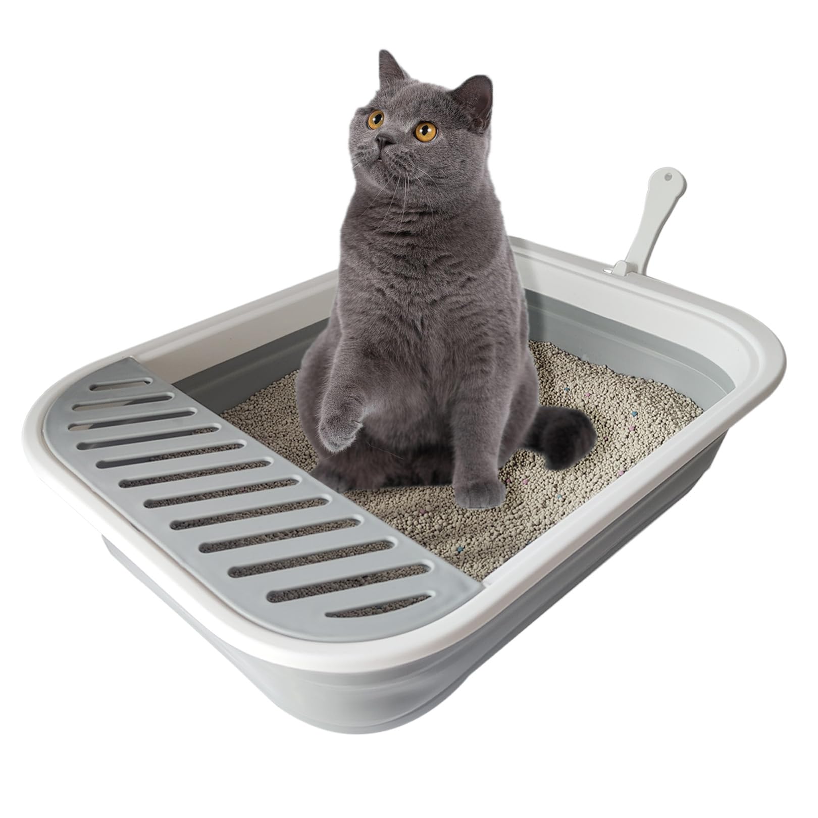 Chuyouan Senior Collapsible Cat Litter Pan - Low Entry, Foldable Pet Toilet for Elderly Cats, Grey, 20.9x15.7x5.7 inch