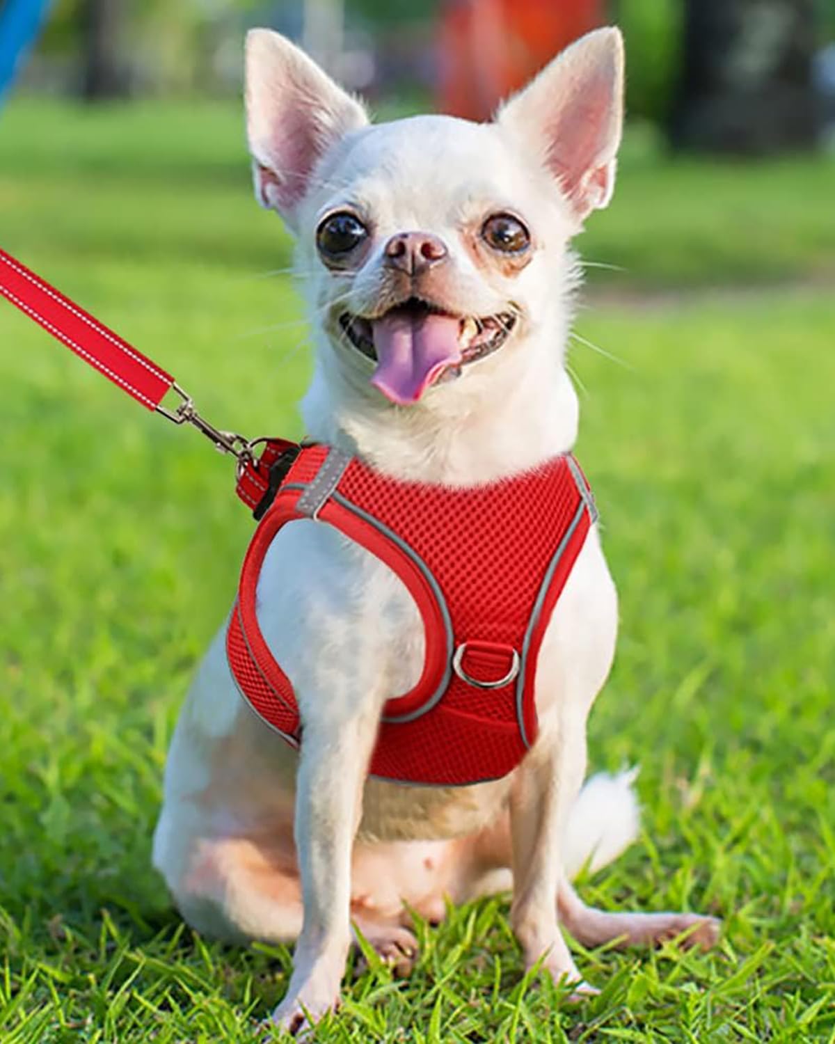Joytale Small Dog Harness, Breathable Mesh Step-In Vest, Reflective Soft Padded Harnesses For Puppies And Extra Small Dogs, Red,