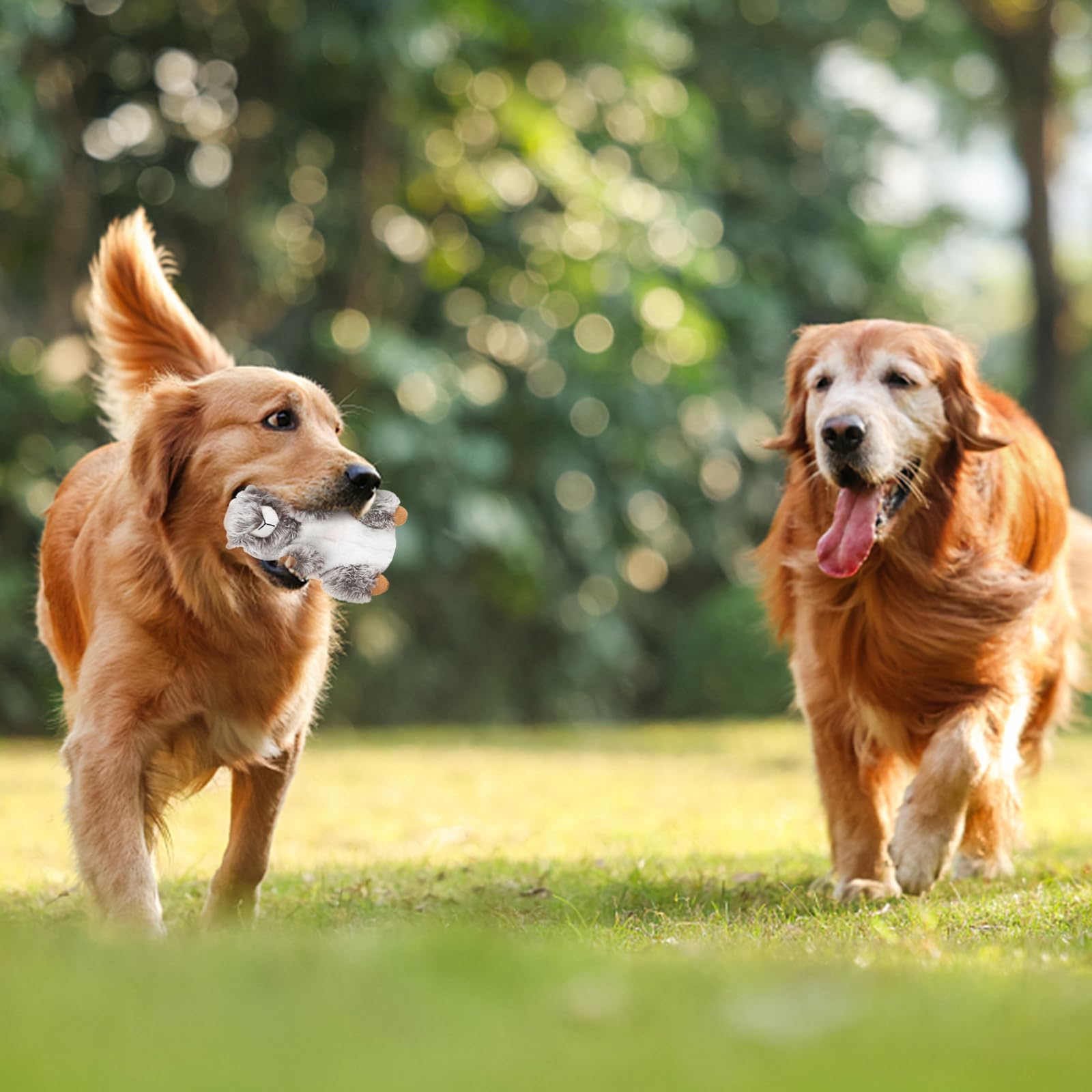 Dododola Dog Toys Plush Squirrel Dog Toy Stuffed Animals Chew Toy Soft Squeaky Dog Gift Toys For Small Medium Big Large Dogs Pet