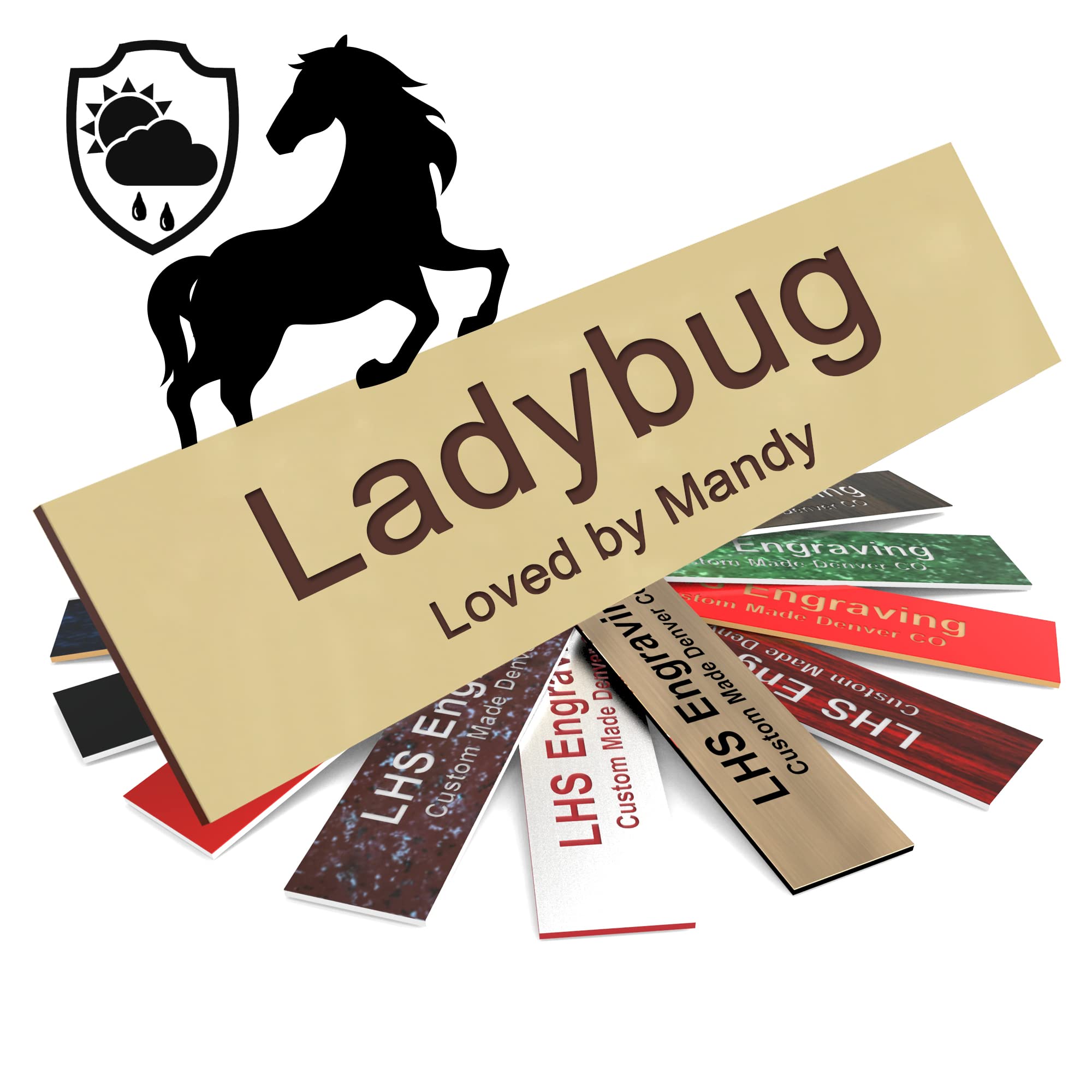 Lhs | Personalized Horse Stall Name Plates, 2X12 Horse Stall Signs With Adhesive, All Weather Uv Protected, Ivory Plastic With B