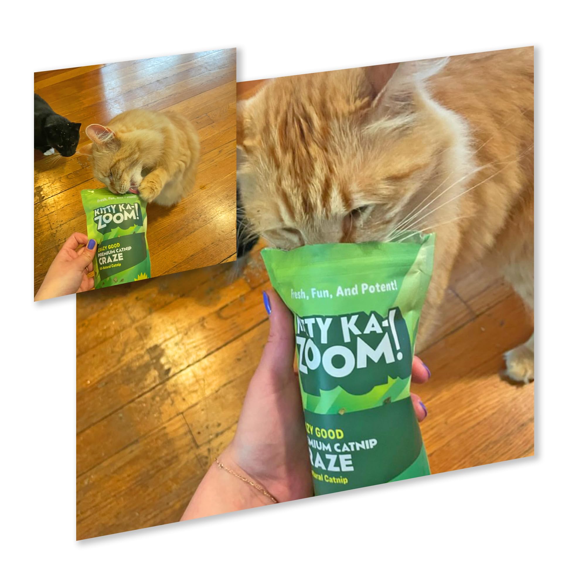 Kitty Ka-Zoom Catnip Craze - Catnip Grown In Canada And The Usa