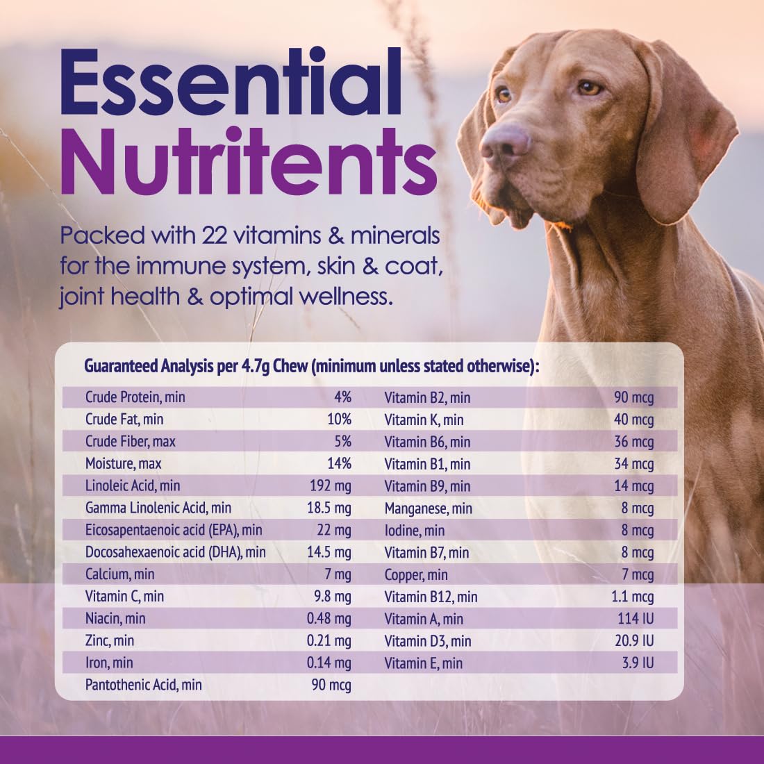 Dog Multivitamin Supplement, 22-in-1 Support for Immune System, Skin, Coat, Joints & Overall Health, Vitamins A, B, C, D, E, K,