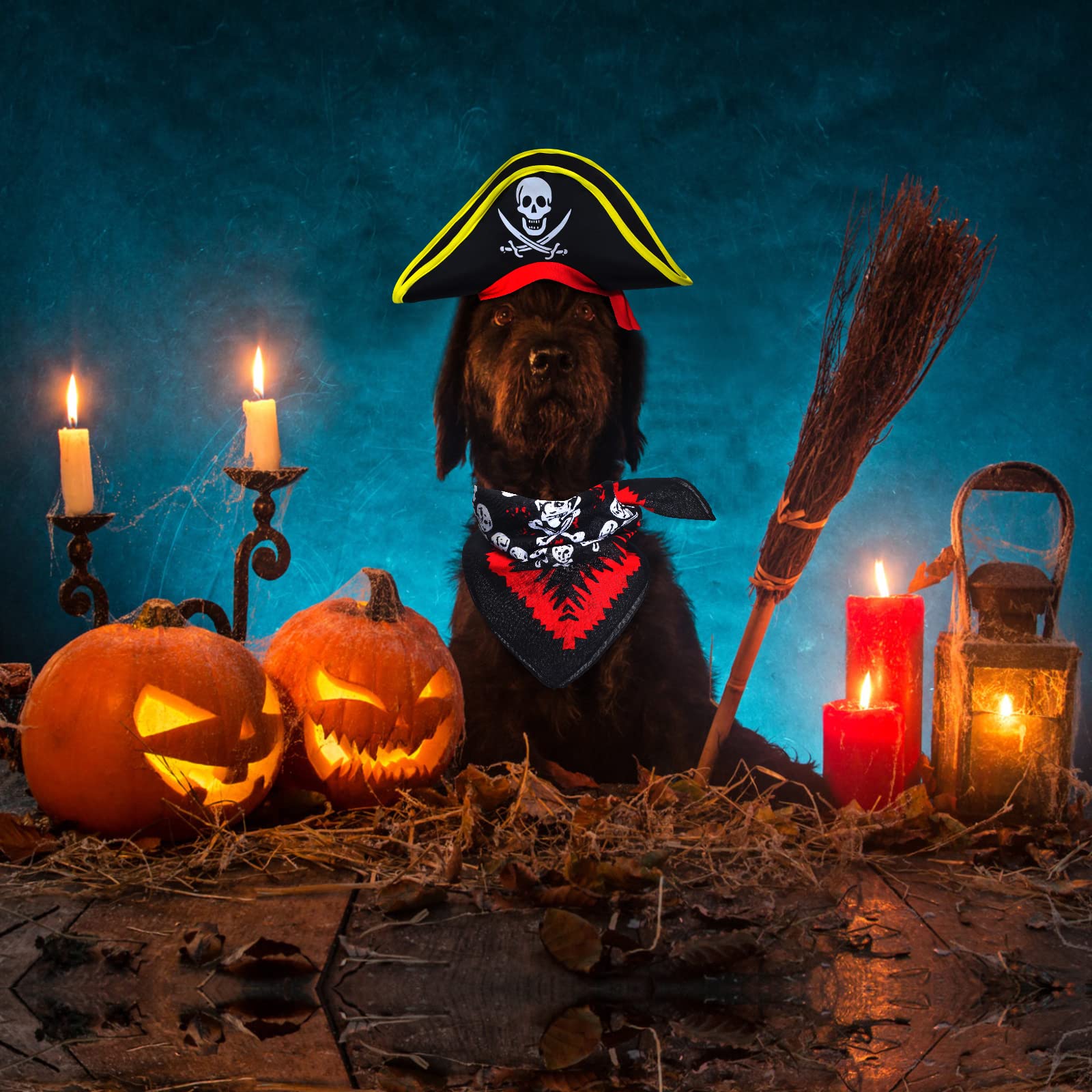 Aichiyu Skull Print Pet Pirate Hat & Bandana Set - One Size, Polyester, Color C - Halloween Costume Accessory for Dogs & Cats