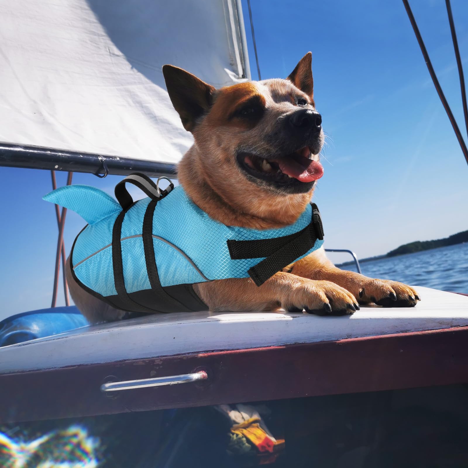 Queenmore Small Dog Life Jacket,Shark Dog Life Vest for Swimming,Puppy Light Life Preserver for Boating Kayaking Canoeing,Pet Li