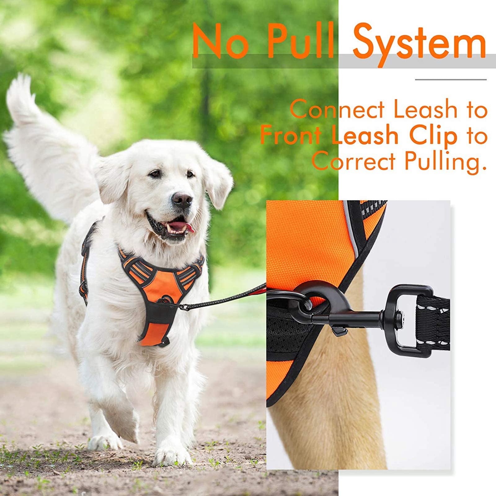 Rabbitgoo Dog Harness No Pull With 2 Leash Clips, Adjustable Soft Padded, Reflective Oxford No Choke Pet Vest With Easy Control Handle For Large Dogs, Orange, Xl
