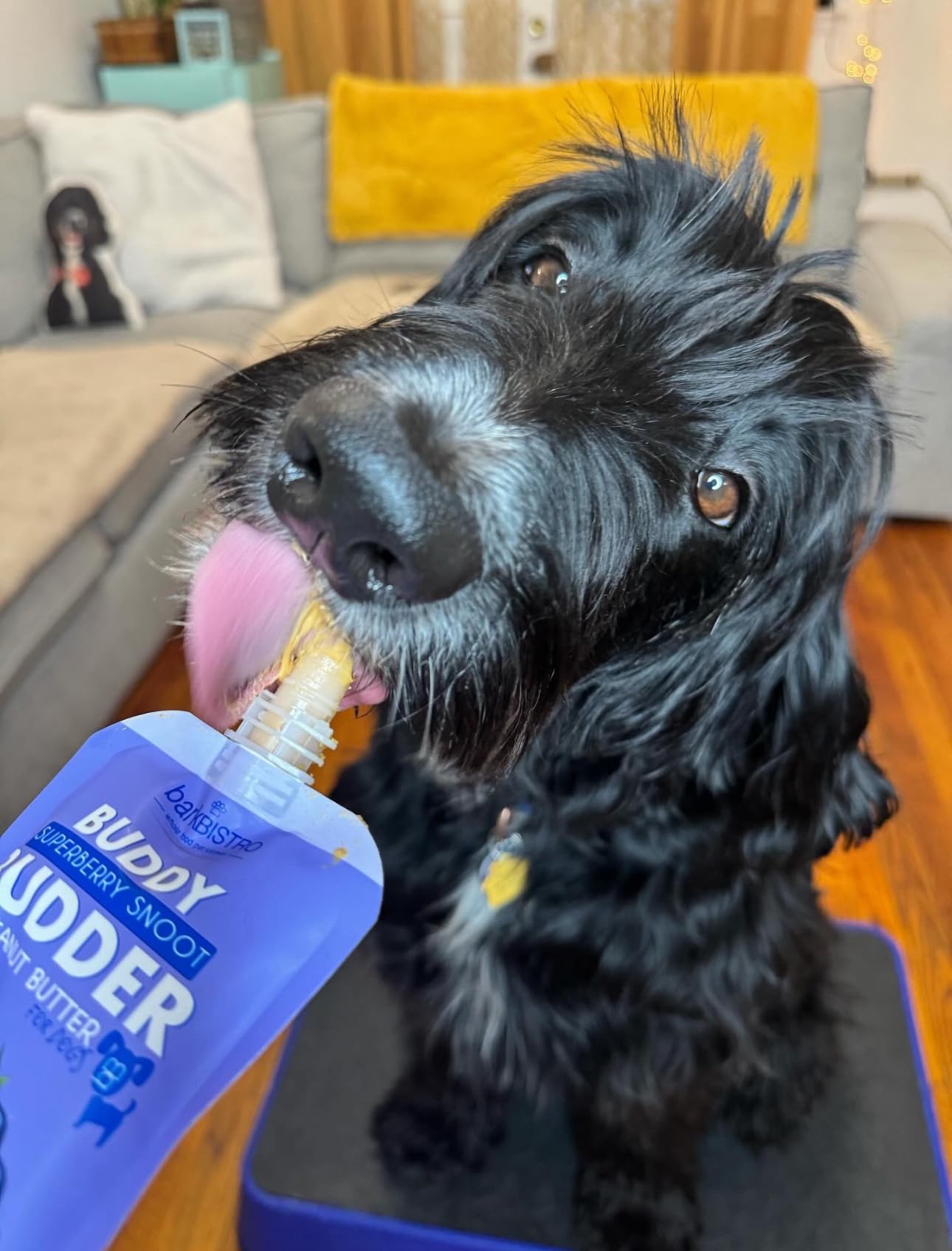 Buddy Budder Bark Bistro Dog Lick Mat Set With Superberry Peanut Butter, Purple Enrichment Mat With Spatula, 4 Oz Squeeze Pack