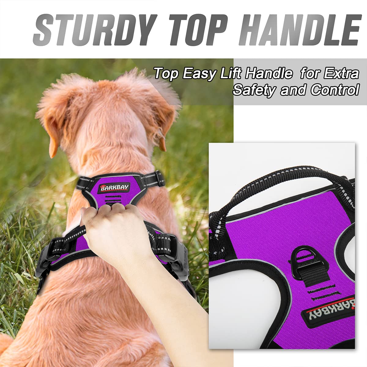 Barkbay No Pull Dog Harness Front Clip Heavy Duty Reflective Easy Control Handle For Large Dog Walking(Purple,M)