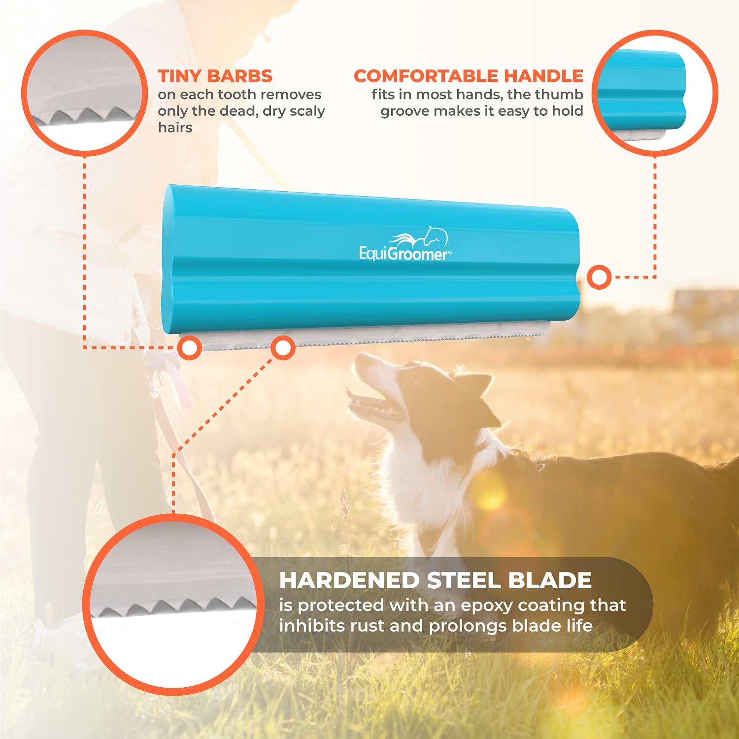 EasyGroomer Deshedding Brush for Dogs Cats | Turquoise | Undercoat Tool for Large and Small Pets | Comb Removes Loose Dirt, Hair