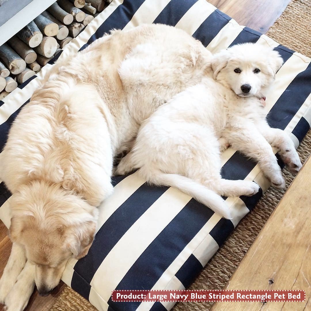 Majestic Pet Rectangle Medium Dog Bed Washable – Non Slip Comfy Pet Bed – Dog Crate Bed With Removable Washable Cover – Dog Kennel Bed For Sleeping - Dog Bed Medium Breed 36X29X4 Inch – Black