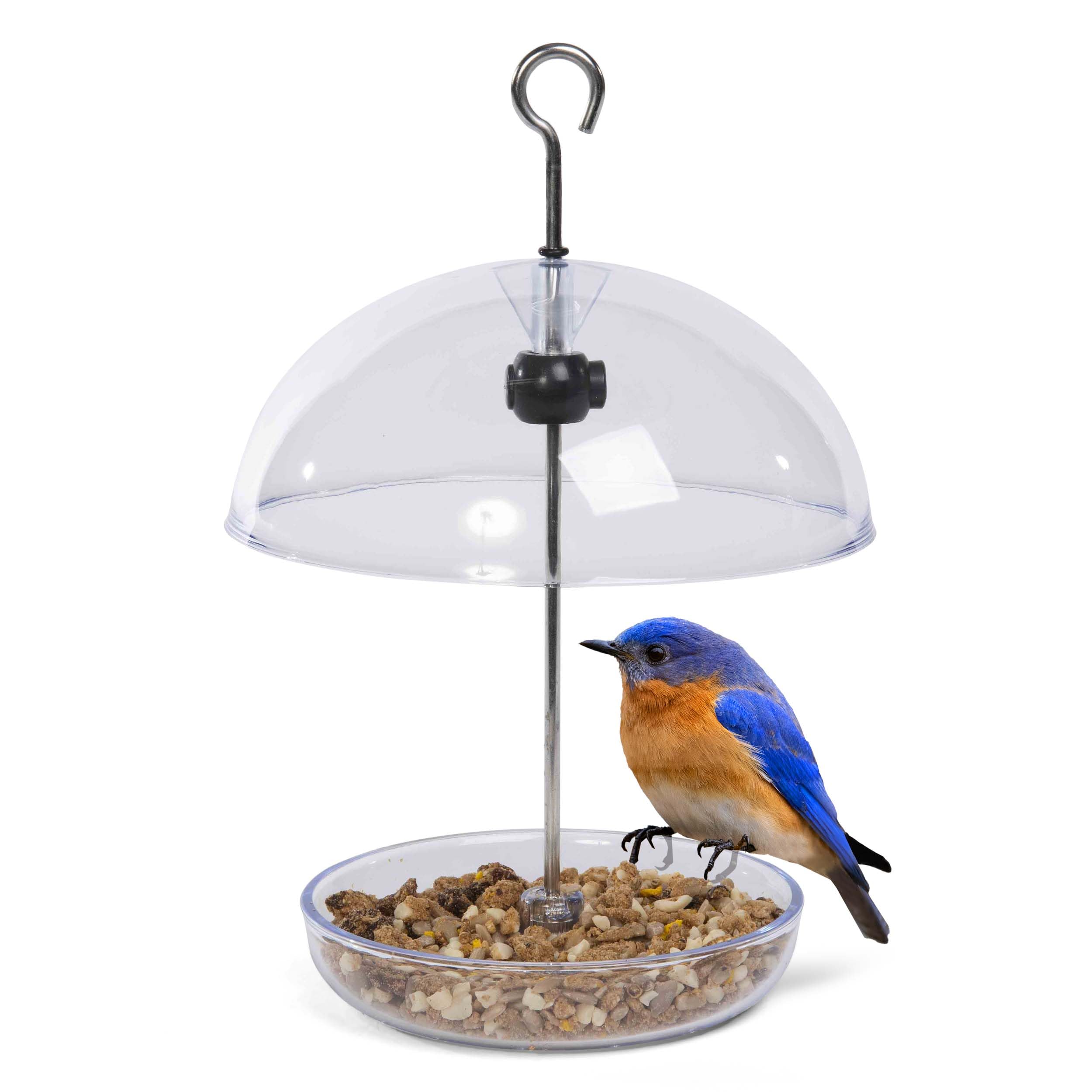 Bluebird Feeder - Jacobi Jayne Pearl Feeder Mini Dome Bird Feeder for Small Birds - Bluebird Feeder for Mealworms - Platform Bir