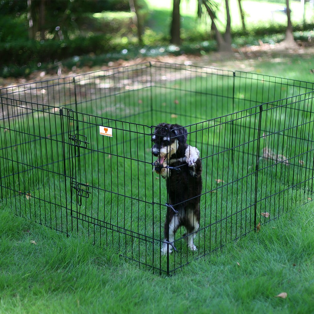 Peekaboo Dog Pen - Foldable Metal Playpen, 8 Panels, 24 Inch, Indoor/Outdoor, Black