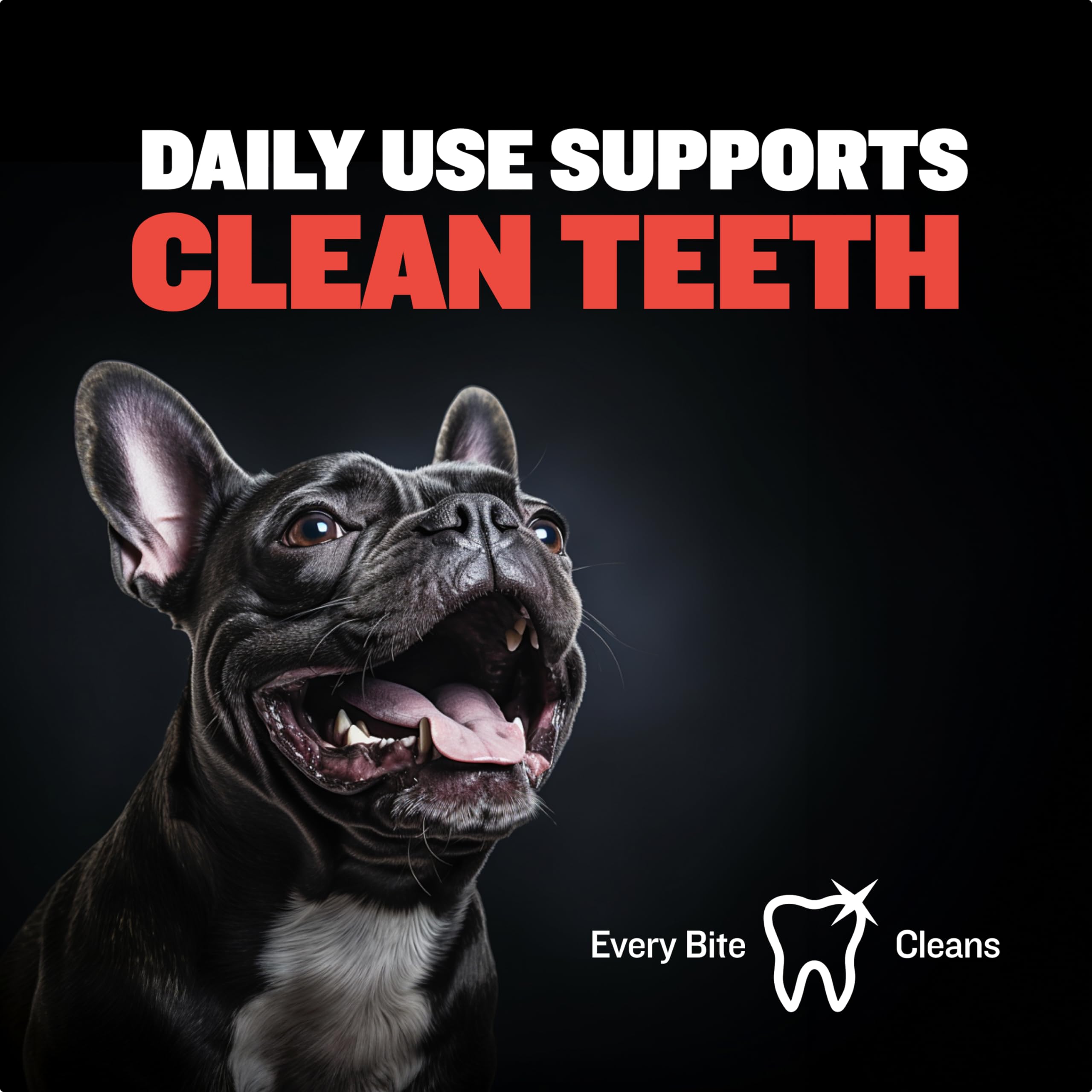 Bully Max Chew Ring Toy Long Lasting Dog Chew Toy For Power Chewers, Big Dogs, & Pit Bulls. Improves Mental Health, Keeps Dogs B