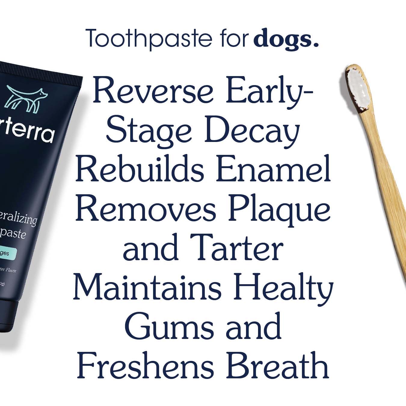 Remineralizing Dog Toothpaste - Vet-Grade, with Nano-Hydroxyapatite, Reverses Early-Stage Decay, Cleans Teeth, Reduces Tartar, F
