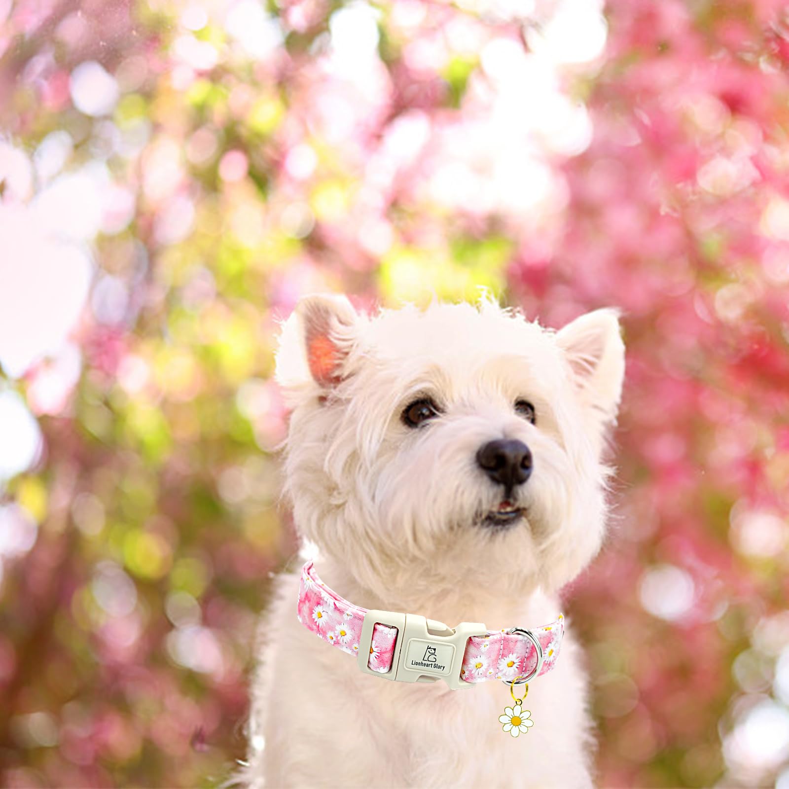 Lionheart Glory Dog Collar-Pink Floral Pattern Dog Collar Cute Flower Dog Collars Female Heavy Duty Adjustable Collars For Small