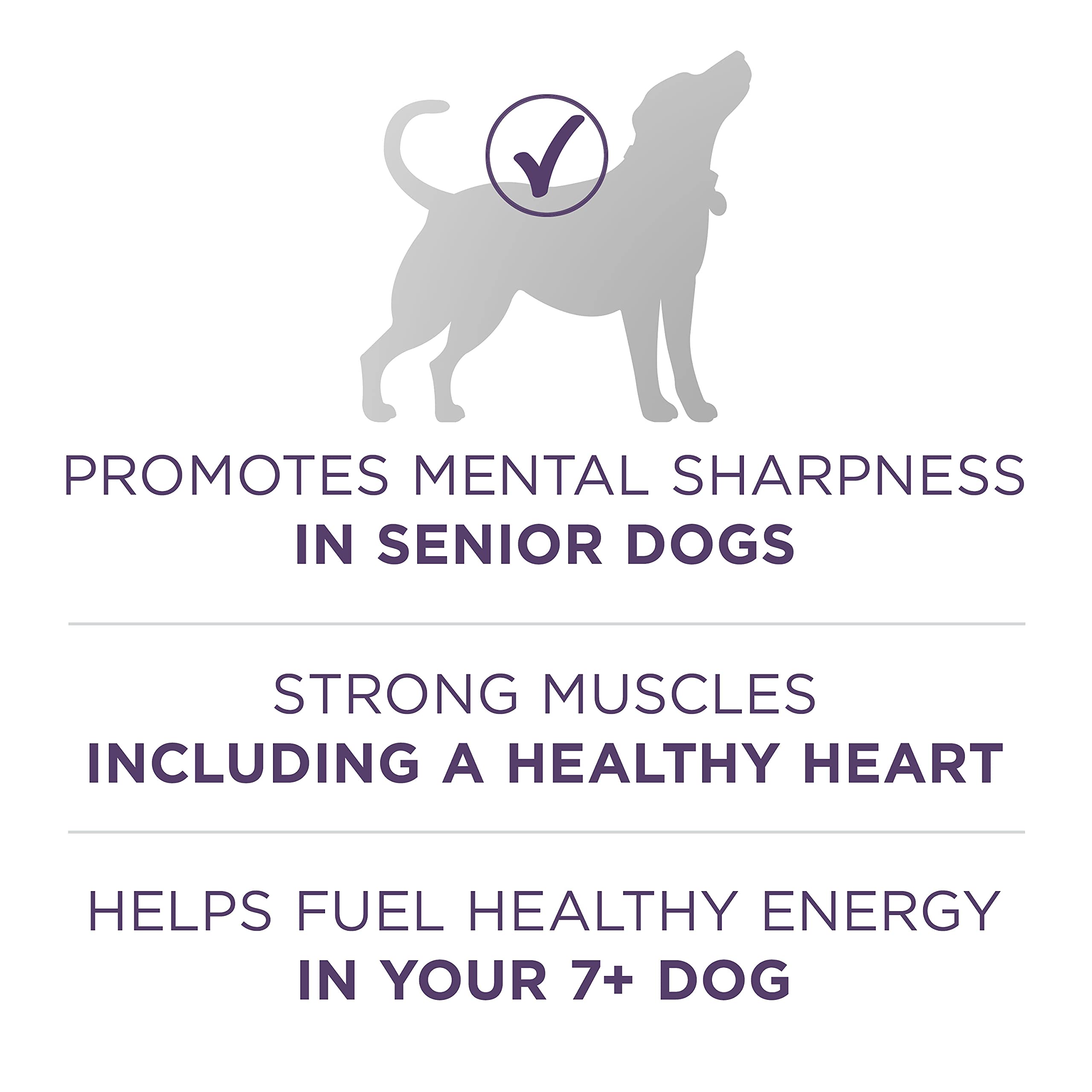 Purina ONE High Protein Dry Senior Dog Food Plus Vibrant Maturity Adult 7 Plus Formula - 8 lb. Bag